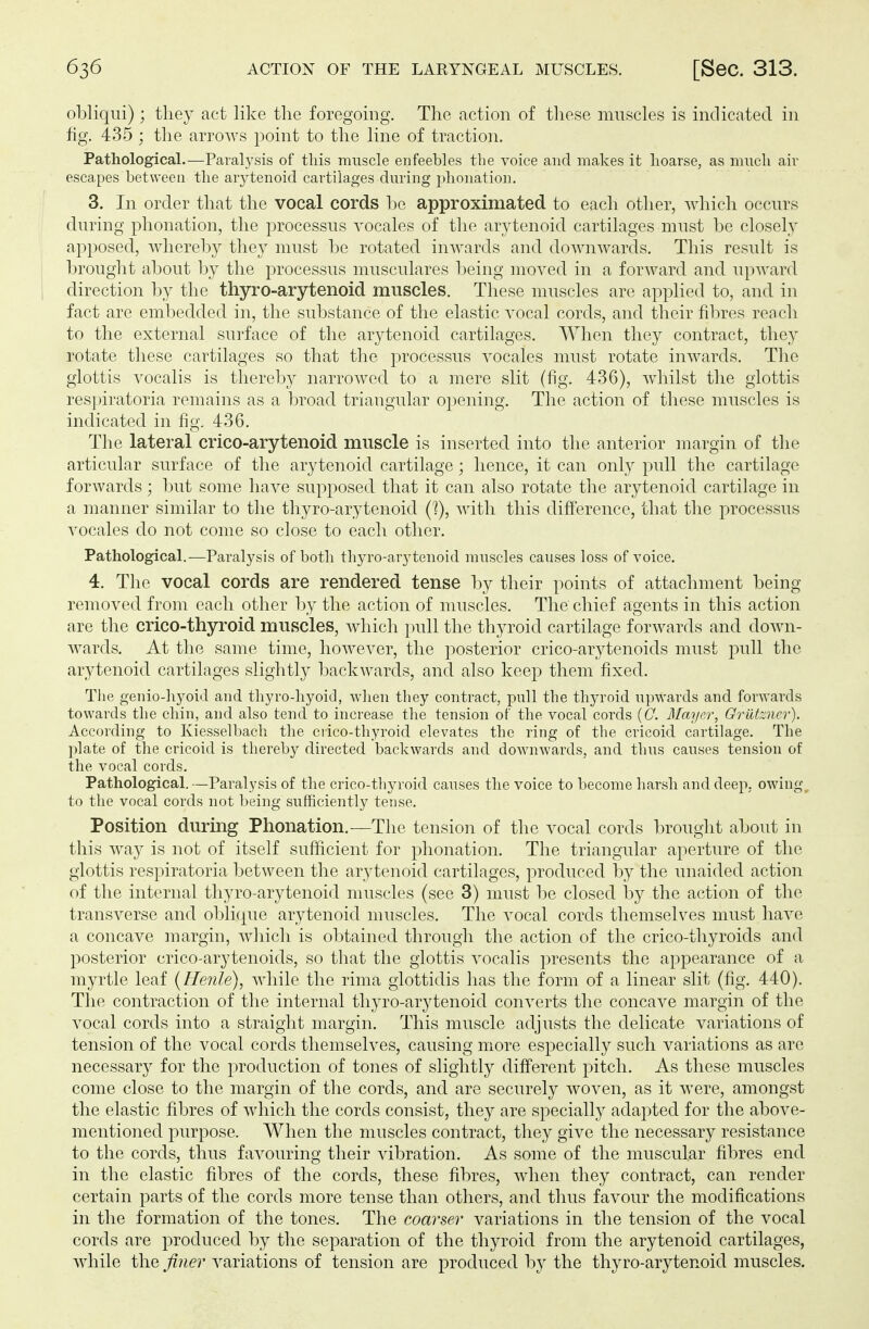 obliqui) ; they act like the foregoing. The action of these muscles is indicated in fig. 435 ; the arrows point to the line of traction. Pathological.—Paralysis of this muscle enfeebles the voice and makes it hoarse, as much air escapes between the aiytenoid cartilages during phonation. 3. In order that the vocal cords be approximated to each other, which occurs during phonation, the processus vocales of the arytenoid cartilages must be closely apposed, whereby they must be rotated inwards and downwards. This result is brought about by the processus musculares being moved in a forward and upward direction by the thyro-arytenoid muscles. These muscles are applied to, and in fact are embedded in, the substance of the elastic vocal cords, and their fibres reach to the external surface of the arytenoid cartilages. When they contract, they rotate these cartilages so that the processus vocales must rotate inwards. The glottis vocalis is thereby narrowed to a mere slit (fig. 436), whilst the glottis respiratoria remains as a broad triangular opening. The action of these muscles is indicated in fig. 436. The lateral crico-arytenoid muscle is inserted into the anterior margin of the articular surface of the arytenoid cartilage; hence, it can only pull the cartilage forwards; but some have supposed that it can also rotate the arytenoid cartilage in a manner similar to the thyro-arytenoid (1), with this difference, that the processus vocales do not come so close to each other. Pathological.—Paralysis of both thyro-arytenoid muscles causes loss of voice. 4. The vocal cords are rendered tense by their points of attachment being removed from each other by the action of muscles. The chief agents in this action are the crico-thyroid muscles, which pull the thyroid cartilage forwards and down- wards. At the same time, however, the posterior crico-arytenoids must pull the arytenoid cartilages slightly backwards, and also keep them fixed. The genio-hyoid and thyro-hyoid, when they contract, pull the thyroid upwards and forwards towards the chin, and also tend to increase the tension of the vocal cords (C. Mayer, Grützner). According to Kiesselbach the crico-thyroid elevates the ring of the cricoid cartilage. The plate of the cricoid is thereby directed backwards and downwards, and thus causes tension of the vocal cords. Pathological. —Paralysis of the crico-thyroid causes the voice to become harsh and deep, owing to the vocal cords not being sufficiently tense. Position during Phonation.—The tension of the vocal cords brought about in this way is not of itself sufficient for phonation. The triangular aperture of the glottis respiratoria between the arytenoid cartilages, produced by the unaided action of the internal thyro-arytenoid muscles (see 3) must be closed by the action of the transverse and oblique arytenoid muscles. The vocal cords themselves must have a concave margin, which is obtained through the action of the crico-thyroids and posterior crico-arytenoids, so that the glottis vocalis presents the appearance of a myrtle leaf (He?ile), Avhile the rima glottidis has the form of a linear slit (fig. 440). The contraction of the internal thyro-arytenoid converts the concave margin of the vocal cords into a straight margin. This muscle adjusts the delicate variations of tension of the vocal cords themselves, causing more especially such variations as are necessary for the production of tones of slightly different pitch. As these muscles come close to the margin of the cords, and are securely woven, as it were, amongst the elastic fibres of which the cords consist, they are specially adapted for the above- mentioned purpose. When the muscles contract, they give the necessary resistance to the cords, thus favouring their vibration. As some of the muscular fibres end in the elastic fibres of the cords, these fibres, when they contract, can render certain parts of the cords more tense than others, and thus favour the modifications in the formation of the tones. The coarser variations in the tension of the vocal cords are produced by the separation of the thyroid from the arytenoid cartilages, while the finer variations of tension are produced by the thyro-arytenoid muscles.
