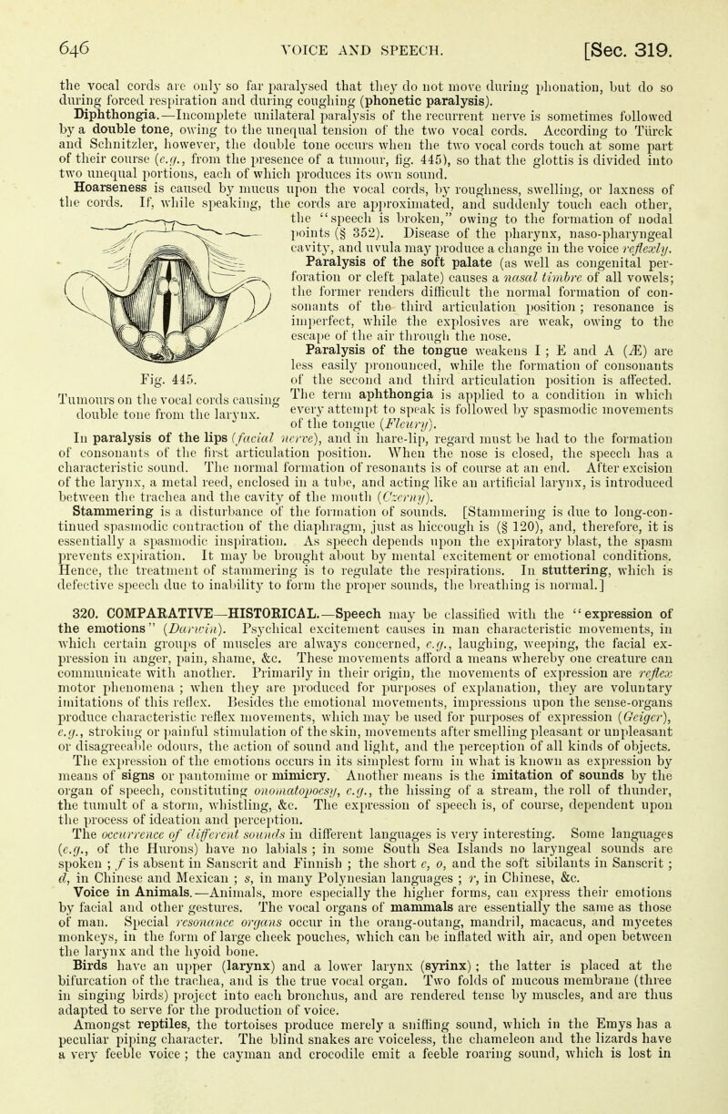 the vocal cords are only so far paralysed that they do not move during phonation, but do so during forced respiration and during coughing (phonetic paralysis). Diphthongia.—Incomplete unilateral paralysis of the recurrent nerve is sometimes followed by a double tone, owing to the unequal tension of the two vocal cords. According to Tiirck and Schnitzler, however, the double tone occurs when the two vocal cords touch at some part of their course (e.g., from the presence of a tumour, fig. 445), so that the glottis is divided into two unequal portions, each of which produces its own sound. Hoarseness is caused by mucus upon the vocal cords, by roughness, swelling, or laxness of the cords. If, while speaking, the cords are approximated, and suddenly touch each other, the speech is broken, owing to the formation of nodal points (§ 352). Disease of the pharynx, naso-pharyngeal cavity, and uvula may produce a change in the voice reflexly. Paralysis of the soft palate (as well as congenital per- foration or cleft palate) causes a nasal timbre of all vowels; the former renders difficult the normal formation of con- sonants of the third articulation position ; resonance is imperfect, while the explosives are weak, owing to the escape of the air through the nose. Paralysis of the tongue weakens I ; E and A (iE) are less easily pronounced, while the formation of consonants Fig. 445. of the second and third articulation position is affected. Tumours on the vocal cords causing The tei'm aphthongia is applied to a condition in which double tone from the larynx every attempt to speak is followed by spasmodic movements of the tongue (Fleury). In paralysis of the lips ( facial nerve), and in hare-lip, regard must be had to the formation of consonants of the first articulation position. When the nose is closed, the speech has a characteristic sound. The normal formation of resonants is of course at an end. After excision of the larynx, a metal reed, enclosed in a tube, and acting like an artificial larynx, is introduced between the trachea and the cavity of the mouth (Czerny). Stammering is a disturbance of the formation of sounds. [Stammering is due to long-con- tinued spasmodic contraction of the diaphragm, just as hiccough is (§ 120), and, therefore, it is essentially a spasmodic inspiration. As speech depends upon the expiratory blast, the spasm prevents expiration. It may be brought about by mental excitement or emotional conditions. Hence, the treatment of stammering is to regulate the respirations. In stuttering, which is defective speech due to inability to form the proper sounds, the breathing is normal.] 320. COMPARATIVE—HISTORICAL.—Speech may be classified with the expression of the emotions (Darwin). Psychical excitement causes in man characteristic movements, in which certain groups of muscles are always concerned, e.g., laughing, weeping, the facial ex- pression in anger, pain, shame, &c. These movements afford a means whereby one creature can communicate with another. Primarily in their origin, the movements of expression are reflex motor phenomena ; when they are produced for purposes of explanation, they are voluntary imitations of this reflex. Besides the emotional movements, impressions upon the sense-organs produce characteristic reflex movements, which may be used for purposes of expression (Geiger), e.g., stroking or painful stimulation of the skin, movements after smelling pleasant or unpleasant or disagreeable odours, the action of sound and light, and the perception of all kinds of objects. The expression of the emotions occurs in its simplest form in what is known as expression by means of signs or pantomime or mimicry. Another means is the imitation of sounds by the organ of speech, constituting onomatopocsy, e.g., the hissing of a stream, the roll of thunder, the tumult of a storm, whistling, &c. The expression of speech is, of course, dependent upon the process of ideation and perception. The occurrence of different sounds in different languages is very interesting. Some languages (e.g., of the Hurons) have no labials ; in some South Sea Islands no laryngeal sounds are spoken ; / is absent in Sanscrit and Finnish ; the short e, 0, and the soft sibilants in Sanscrit ; d, in Chinese and Mexican ; s, in many Polynesian languages ; r, in Chinese, &c. Voice in Animals.—Animals, more especially the higher forms, can express their emotions by facial and other gestures. The vocal organs of mammals are essentially the same as those of man. Special resonance organs occur in the orang-outang, mandril, macacus, and mycetes monkeys, in the form of large cheek pouches, which can be inflated with air, and open between the larynx and the hyoid bone. Birds have an upper (larynx) and a lower larynx (syrinx); the latter is placed at the bifurcation of the trachea, and is the true vocal organ. Two folds of mucous membrane (three in singing birds) project into each bronchus, and are rendered tense by muscles, and are thus adapted to serve for the production of voice. Amongst reptiles, the tortoises produce merely a sniffing sound, which in the Emys has a peculiar piping character. The blind snakes are voiceless, the chameleon and the lizards have a very feeble voice ; the cayman and crocodile emit a feeble roaring sound, which is lost in