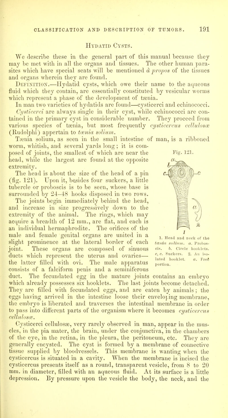 Hydatid Cysts, We describe these in the general part of this manual because they may be met with in all the organs and tissues. The other human para- sites which have special seats will be mentioned d propos of the tissues and organs wherein they are found. Definition.—Hydatid cysts, which owe their name to the aqueous fluid wrhich they contain, are essentially constituted by vesicular worms which represent a phase of the development of taenia. In man two varieties of hydatids are found—cysticerci and echinococci. Cysticerci are always single in their cyst, while echinococci are con- tained in the primary cyst in considerable number. They proceed from various species of taenia, but most frequently cysticercus cellulosce (Rudolphi) appertain to tcenia solium. Taenia solium, as seen in the small intestine of man, is a ribboned worm, whitish, and several yards long ; it is com- posed of joints, the smallest of which are near the head, while the largest are found at the opposite extremity. The head is about the size of the head of a pin (fig. 121). Upon it, besides four suckers, a little tubercle or proboscis is to be seen, whose base is surrounded by 21-48 hooks disposed in two rows. The joints begin immediately behind the head, and increase in size progressively down to the extremity of the animal. The rings, which may acquire a breadth of 12 mm., are flat, and each is an individual hermaphrodite. The orifices of the male and female genital organs are united in a slight prominence at the lateral border of each joint. These organs are composed of sinuous ducts which represent the uterus and ovaries— the latter filled with ovi. consists of a falciform duct. The fecundated egg in the mature joints contains an embryo which already possesses six booklets. The last joints become detached. They are filled with fecundated eggs, and are eaten by animals ; the eggs having arrived in the intestine loose their enveloping membrane, the embryo is liberated and traverses the intestinal membrane in order to pass into different parts of the organism where it becomes cysticercus cellulosce. Cysticerci cellulosae, very rarely observed in man, appear in the mus- cles, in the pia mater, the brain, under the conjunctiva, in the chambers of the eye, in the retina, in the pleura, the peritoneum, etc. They are generally encysted. The cyst is formed by a membrane of connective tissue supplied by bloodvessels. This membrane is wanting when the cysticercus is situated in a cavity. When the membrane is incised the cysticercus presents itself as a round, transparent vesicle, from 8 to 20 mm. in diameter, filled with an aqueous fluid. At its surface is a little depression. By pressure upon the vesicle the body, the neck, and the ]. Head and neck of the tcenia solium, a. Probos- b. Circle booklets. Suckers. 2. An iso- Cis. The male apparatus penis and a seminiferous lated hooklet. portion. Free