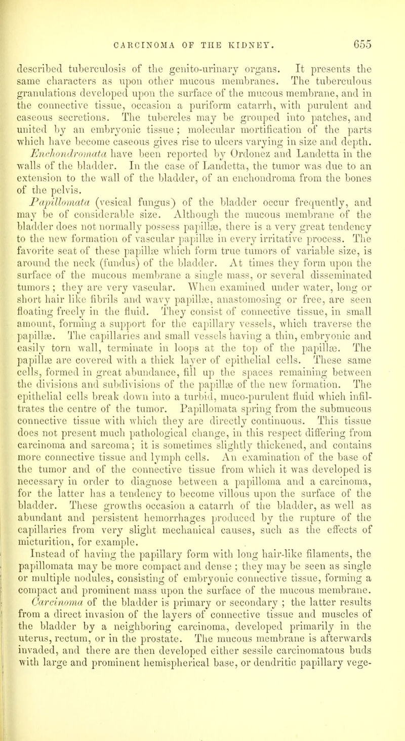 described tuberculosis of the genito-urinary organs. It presents the same characters as upon other mucous membranes. The tuberculous granulations developed upon the surface of the mucous membrane, and in the connective tissue, occasion a puriform catarrh, with purulent and caseous secretions. The tubercles may be grouped into patches, and united by an embryonic tissue ; molecular mortification of the parts which have become caseous gives rise to ulcers varying in size and depth. Enchondromata have been reported by Ordonez and Landetta in the walls of the bladder. In the case of Landetta, the tumor was due to an extension to the wall of the bladder, of an enchondroma from the bones of the pelvis. Papillomata (vesical fungus) of the bladder occur frequently, and may be of considerable size. Although the mucous membrane of the bladder does not normally possess papillae, there is a very great tendency to the new formation of vascular papillae in every irritative process. The favorite seat of these papillae which form true tumors of variable size, is around the neck (fundus) of the bladder. At times they form upon the surface of the mucous membrane a single mass, or several disseminated tumors ; they are very vascular. When examined under water, long or short hair like fibrils and wavy papillae, anastomosing or free, are seen floating freely in the fluid. They consist of connective tissue, in small amount, forming a support for the capillary vessels, which traverse the papillae. The capillaries and small vessels having a thin, embryonic and easily torn wall, terminate in loops at the top of the papillae. The papillae are covered with a thick layer of epithelial cells. These same cells, formed in great abundance, fill up the spaces remaining between the divisions and subdivisions of the papillae of the newT formation. The epithelial cells break down into a turbid, muco-purulent fluid which infil- trates the centre of the tumor. Papillomata spring from the submucous connective tissue with which they are directly continuous. This tissue does not present much pathological change, in this respect differing from carcinoma and sarcoma; it is sometimes slightly thickened, and contains more connective tissue and lymph cells. An examination of the base of the tumor and of the connective tissue from which it was developed is necessary in order to diagnose between a papilloma and a carcinoma, for the latter has a tendency to become villous upon the surface of the bladder. These growths occasion a catarrh of the bladder, as well as abundant and persistent hemorrhages produced by the rupture of the capillaries from very slight mechanical causes, such as the effects of micturition, for example. Instead of having the papillary form with long hair-like filaments, the papillomata may be more compact and dense ; they may be seen as single or multiple nodules, consisting of embryonic connective tissue, forming a compact and prominent mass upon the surface of the mucous membrane. Carcinoma of the bladder is primary or secondary ; the latter results from a direct invasion of the layers of connective tissue and muscles of the bladder by a neighboring carcinoma, developed primarily in the uterus, rectum, or in the prostate. The mucous membrane is afterwards invaded, and there are then developed either sessile carcinomatous buds with large and prominent hemispherical base, or dendritic papillary vege-