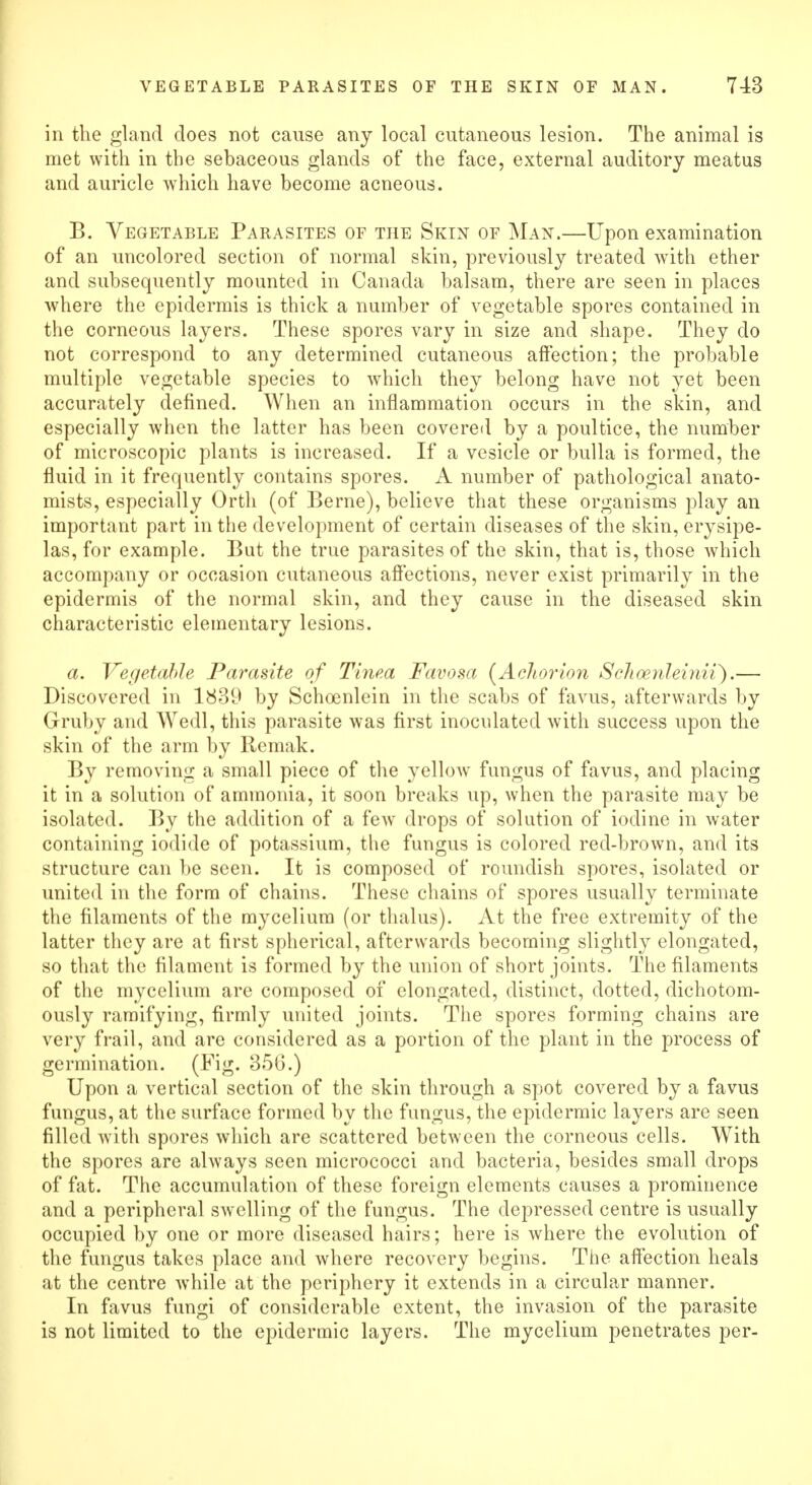 in the gland does not cause any local cutaneous lesion. The animal is met with in the sebaceous glands of the face, external auditory meatus and auricle which have become aeneous. B. Vegetable Parasites of the Skin of Man.—Upon examination of an uncolored section of normal skin, previously treated with ether and subsequently mounted in Canada balsam, there are seen in places where the epidermis is thick a number of vegetable spores contained in the corneous layers. These spores vary in size and shape. They do not correspond to any determined cutaneous affection; the probable multiple vegetable species to which they belong have not yet been accurately defined. When an inflammation occurs in the skin, and especially when the latter has been covered by a poultice, the number of microscopic plants is increased. If a vesicle or bulla is formed, the fluid in it frequently contains spores. A number of pathological anato- mists, especially Orth (of Berne), believe that these organisms play an important part in the development of certain diseases of the skin, erysipe- las, for example. But the true parasites of the skin, that is, those which accompany or occasion cutaneous affections, never exist primarily in the epidermis of the normal skin, and they cause in the diseased skin characteristic elementary lesions. a. Vegetable Parasite of Tinea Favosa {Aclwrion Schoenleinii}.— Discovered in 1839 by Schoenlein in the scabs of favus, afterwards by Gruby and Wedl, this parasite was first inoculated with success upon the skin of the arm by Remak. By removing a small piece of the yellow fungus of favus, and placing it in a solution of ammonia, it soon breaks up, when the parasite may be isolated. By the addition of a few drops of solution of iodine in water containing iodide of potassium, the fungus is colored red-brown, and its structure can be seen. It is composed of roundish spores, isolated or united in the form of chains. These chains of spores usually terminate the filaments of the mycelium (or thalus). At the free extremity of the latter they are at first spherical, afterwards becoming slightly elongated, so that the filament is formed by the union of short joints. The filaments of the mycelium are composed of elongated, distinct, dotted, dichotom- ously ramifying, firmly united joints. The spores forming chains are very frail, and are considered as a portion of the plant in the process of germination. (Fig. 356.) Upon a vertical section of the skin through a spot covered by a favus fungus, at the surface formed by the fungus, the epidermic layers are seen filled with spores which are scattered between the corneous cells. With the spores are always seen micrococci and bacteria, besides small drops of fat. The accumulation of these foreign elements causes a prominence and a peripheral swelling of the fungus. The depressed centre is usually occupied by one or more diseased hairs; here is where the evolution of the fungus takes place and where recovery begins. The affection heals at the centre while at the periphery it extends in a circular manner. In favus fungi of considerable extent, the invasion of the parasite is not limited to the epidermic layers. The mycelium penetrates per-