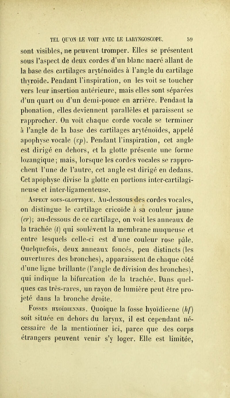 sont visibles, ne peuvent tromper. Elles se présentent sous l'aspect de deux cordes d'un blanc nacré allant de la base des cartilages aryténoïdes à l'angle du cartilage thyroïde. Pendant l'inspiration, on les voit se toucher vers leur insertion antérieure, mais elles sont séparées d'un quart ou d'un demi-pouce en arrière. Pendant la phonation, elles deviennent parallèles et paraissent se rapprocher. On voit chaque corde vocale se terminer à l'angle de la base des cartilages aryténoïdes, appelé apophyse vocale [vp). Pendant l'inspiration, cet angle est dirigé en dehors, et la glotte présente une forme lozangique ; mais, lorsque les cordes vocales se rappro- chent l'une de l'autre, cet angle est dirigé en dedans. Cet apophyse divise la glotte en portions inter-cartilagi- neuse et inter-ligamenteuse. Aspect sous-glottique. Au-dessous des cordes vocales, on distingue le cartilage cricoïde à sa couleur jaune (cr); au-dessous de ce cartilage, on voit les anneaux de la trachée [l) qui soulèvent la membrane muqueuse et entre lesquels celle-ci est d'une couleur rose pâle. Quelquefois, deux anneaux foncés, peu distincts (les ouvertures des bronches), apparaissent de chaque côté d'une ligne brillante (l'angle de division des bronches), qui indique la bifurcation de la trachée. Dans quel- ques cas très-rares, un rayon de lumière peut être pro- jeté dans la bronche droite. Fosses hyoïdiennes. Quoique la fosse hyoïdieene [hf] soit située en dehors du larynx, il est cependant né- cessaire de la mentionner ici, parce que des corps étrangers peuvent venir s'y loger. Elle est limitée,