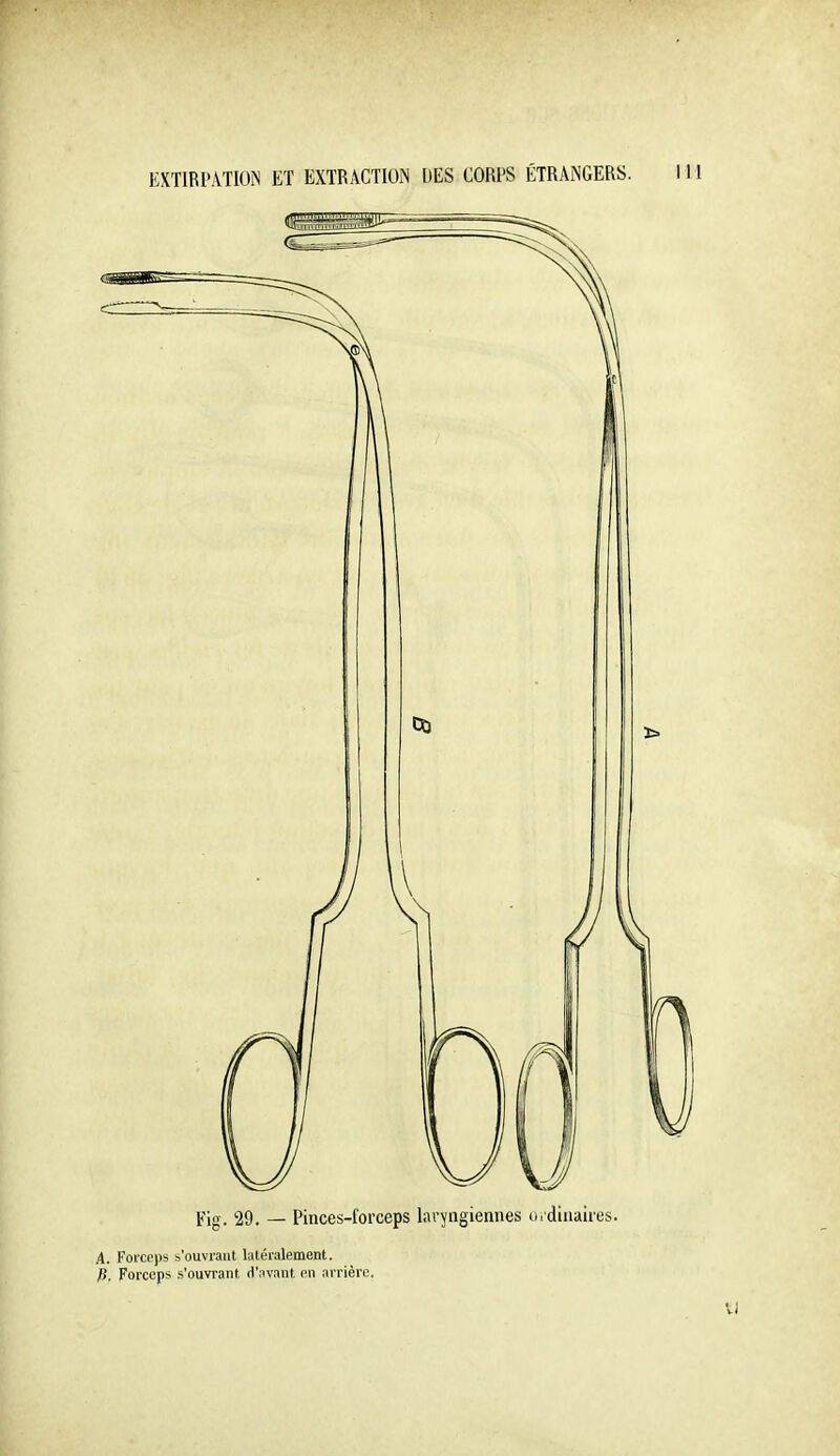 Fig. 29. — Pinces-forceps laryngiennes ordinaires. A. Forceps s'ouvrant latéralement. P. Forceps .s'ouvrant d'avant en arrière.