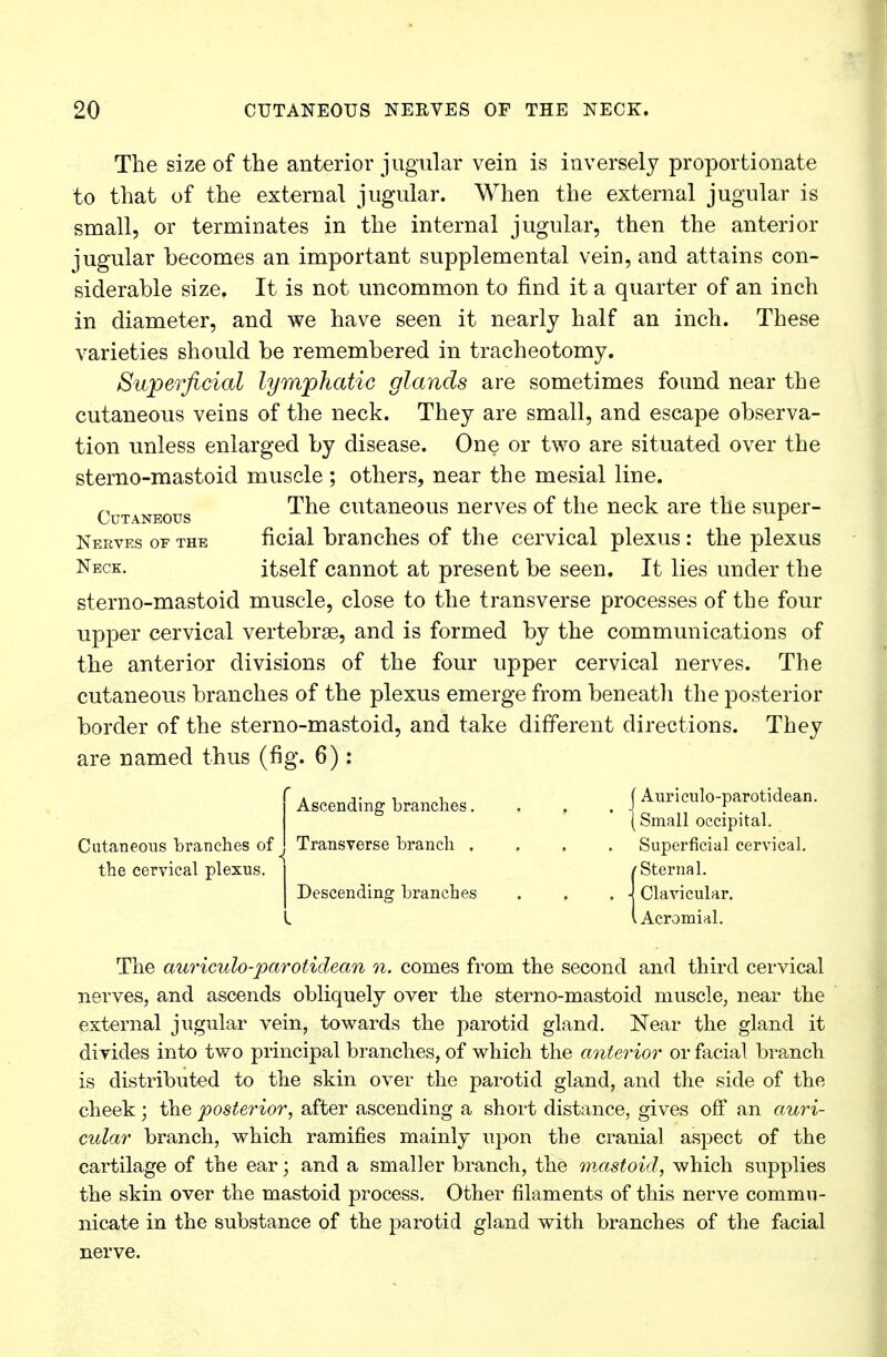 The size of the anterior jugular vein is inversely proportionate to that of the external jugular. When the external jugular is small, or terminates in the internal jugular, then the anterior jugular becomes an important supplemental vein, and attains con- siderable size. It is not uncommon to find it a quarter of an inch in diameter, and we have seen it nearly half an inch. These varieties should be remembered in tracheotomy. Superficial lymphatic glands are sometimes found near the cutaneous veins of the neck. They are small, and escape observa- tion unless enlarged by disease. One or two are situated over the sterno-mastoid muscle ; others, near the mesial line. Cutaneous cutaneous nerves of the neck are the super- Nertes of the ficial branches of the cervical plexus: the plexus Neck. itself cannot at present be seen. It lies under the sterno-mastoid muscle, close to the transverse processes of the four upper cervical vertebrse, and is formed by the communications of the anterior divisions of the four upper cervical nerves. The cutaneous branches of the plexus emerge from beneath the posterior border of the sterno-mastoid, and take different directions. They are named thus (fig. 6): 'Ascending branches. . . . j Auriculo-parotidean. {Small occipital. Cutaneous branches of . Transverse branch .... Superficial cervical. Sternal. the cervical plexus. Descending branches Clavicular. Acromial. The auriculo-parotidean n. comes from the second and third cervical nerves, and ascends obliquely over the sterno-mastoid muscle, near the external jugular vein, towards the parotid gland. Near the gland it divides into two principal branches, of which the anterior or facial branch is distributed to the skin over the parotid gland, and the side of the cheek; the posterior, after ascending a short distance, gives off an auri- cular branch, which ramifies mainly upon the cranial aspect of the cartilage of the ear; and a smaller branch, the mastoid, which supplies the skin over the mastoid process. Other filaments of this nerve commu- nicate in the substance of the parotid gland with branches of the facial nerve.