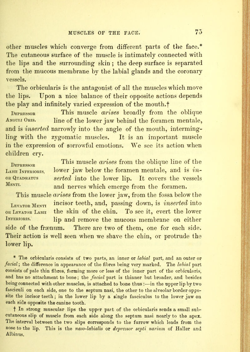 other muscles which converge from different parts of the face.* The cutaneous surface of the muscle is intimately connected with the lips and the surrounding skin ; the deep surface is separated from the mucous membrane by the labial glands and the coronary vessels. The orbicularis is the antagonist of all the muscles which move the lips. Upon a nice balance of their opposite actions depends the play and infinitely varied expression of the mouth.f Depressor This muscle arises broadly from the oblique Anout.i Oris. line of the lower jaw behind the foramen mentale, and is inserted narrowly into the angle of the mouth, interming- ling with the zygomatic muscles. It is an important muscle in the expression of sorrowful emotions. We see its action when children cry. Depressor ^n*s musc^e cirises from the oblique line of the Labu Inferioris, lower jaw below the foramen mentale, and is in- orQuadratus serted into the lower lip. It covers the vessels Menti- and nerves which emerge from the foramen. This muscle arises from the lower jaw, from the fossa below the LevatorMenti incisor teeth, and, passing down, is inserted into or Levator Labu the skin of the chin. To see it, evert the lower Inferioris. lip and remove the mucous membrane on either side of the frsenum. There are two of them, one for each side. Their action is well seen when we shave the chin, or protrude the lower lip. * The orbicularis consists of two parts, an inner or labial part, and an outer or facial; the difference in appearance of the fibres being very marked. The labial part consists of pale thin fibres, forming more or less of the inner part of the orbicularis, and has no attachment to bone; the facial part is thinner but broader, and besides being connected with other muscles, is attached to bone thus :—in the upper lip by two fasciculi on each side, one to the septum nasi, the other to the alveolar border oppo- site the incisor teeth; in the lower lip by a single fasciculus to the lower jaw on each side opposite the canine tooth. f In strong muscular lips the upper part of the orbicularis sends a small sub- cutaneous slip of muscle from each side along the septum nasi nearly to the apex. The interval between the two slips corresponds to the furrow which leads from the nose to the lip. This is the naso-labialis or depressor septi narium of Haller and Albinus.