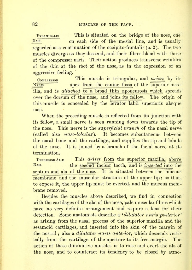 Pyramidalis This is situated on the bridge of the nose, one Nasi. on each side of the mesial line, and is usually regarded as a continuation of the occipito-frontalis (p. 2). The two muscles diverge as they descend, and their fibres blend with those of the compressor naris. Their action produces transverse wrinkles of the skin at the root of the nose, as in the expression of an aggressive feeling. Compressor This nmscle is triangular, and arises by its Naris. apex from the canine fossa of the superior max- ilia, and is attached to a broad thin aponeurosis which spreads over the dorsum of the nose, and joins its fellow. The origin of this muscle is concealed by the levator labii superioris alaeque nasi. When the preceding muscle is reflected from its junction with its fellow, a small nerve is seen running down towards the tip of the nose. This nerve is the superficial branch of the nasal nerve (called also naso-lobular). It becomes subcutaneous between the nasal bone and the cartilage, and supplies the tip and lobule of the nose. It is joined by a branch of the facial nerve at its termination. Depressor Aue This arises from the superior maxilla, above Nasi- the second incisor tooth, and is inserted into the septum and ala of the nose. It is situated between the mucous membrane and the muscular structure of the upper lip; so that, to expose it, the upper lip must be everted, and the mucous mem- brane removed. Besides the muscles above described, we find in connection with the cartilages of the alae of the nose, pale muscular fibres which have no very definite arrangement and require a lens for their detection. Some anatomists describe a 'dilatator naris posterior' as arising from the nasal process of the superior maxilla and the sesamoid cartilages, and inserted into the skin of the margin of the nostril; also a dilatator naris anterior, which descends verti- cally from the cartilage of the aperture to its free margin. The action of these diminutive muscles is to raise and evert the ala of the nose, and to counteract its tendency to be closed by atmo-