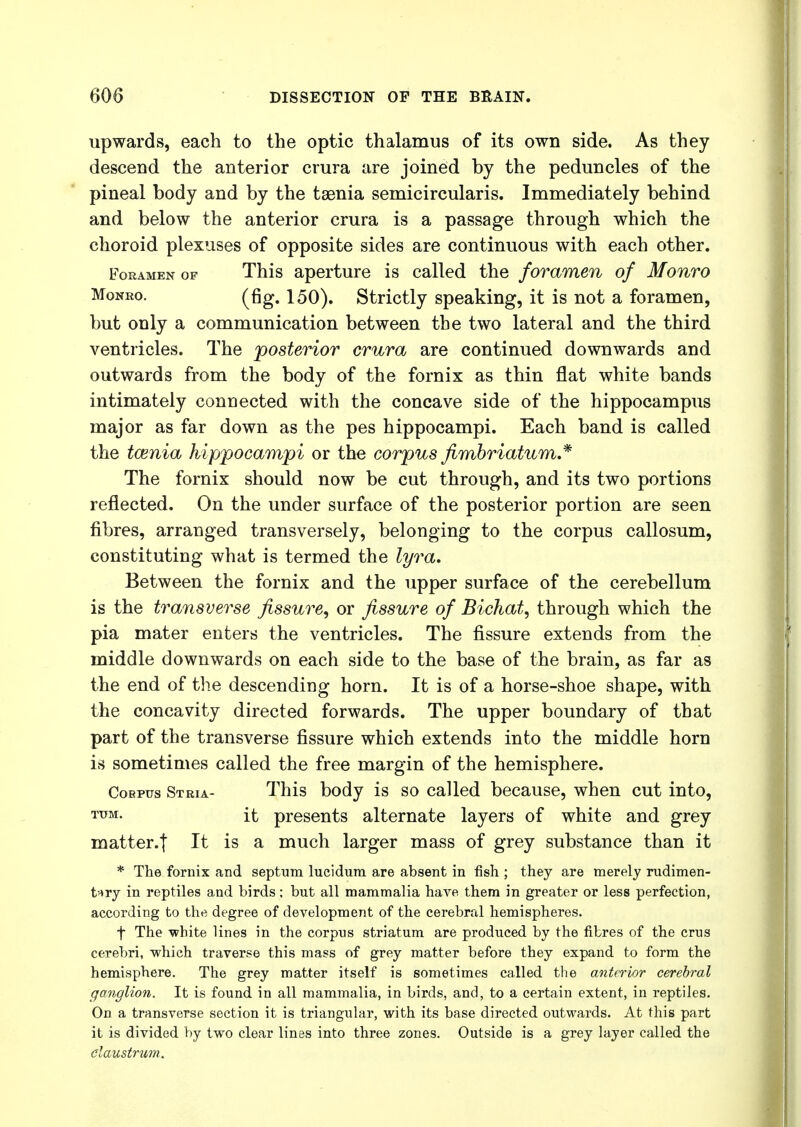 upwards, each to the optic thalamus of its own side. As they descend the anterior crura are joined by the peduncles of the pineal body and by the taenia semicircularis. Immediately behind and below the anterior crura is a passage through which the choroid plexuses of opposite sides are continuous with each other. Foramen of This aperture is called the foramen of Monro Monro. (fig. 150). Strictly speaking, it is not a foramen, but only a communication between the two lateral and the third ventricles. The posterior crura are continued downwards and outwards from the body of the fornix as thin flat white bands intimately connected with the concave side of the hippocampus major as far down as the pes hippocampi. Each band is called the tamia hippocampi or the corpusfimbriatum* The fornix should now be cut through, and its two portions reflected. On the under surface of the posterior portion are seen fibres, arranged transversely, belonging to the corpus callosum, constituting what is termed the lyra. Between the fornix and the upper surface of the cerebellum is the transverse fissure, or fissure of Bichat, through which the pia mater enters the ventricles. The fissure extends from the middle downwards on each side to the base of the brain, as far as the end of the descending horn. It is of a horse-shoe shape, with the concavity directed forwards. The upper boundary of that part of the transverse fissure which extends into the middle horn is sometimes called the free margin of the hemisphere. Cobptjs Stria- This body is so called because, when cut into, TOM- it presents alternate layers of white and grey matter.| It is a much larger mass of grey substance than it * The fornix and septum lucidum are absent in fish ; they are merely rudimen- tary in reptiles and birds; but all mammalia have them in greater or less perfection, according to the degree of development of the cerebral hemispheres. f The -white lines in the corpus striatum are produced by the fibres of the crus cerebri, which traverse this mass of grey matter before they expand to form the hemisphere. The grey matter itself is sometimes called the anterior cerebral ganglion. It is found in all mammalia, in birds, and, to a certain extent, in reptiles. On a transverse section it is triangular, with its base directed outwards. At this part it is divided by two clear lines into three zones. Outside is a grey layer called the claustrum.