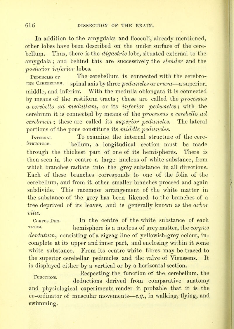 In addition to the amygdalae and flocculi, already mentioned, other lobes have been described on the under surface of the cere- bellum. Thus, there is the digastric lobe, situated external to the amygdala; and behind this are successively the slender and the posterior inferior lobes. Peduncles of The cerebellum is connected with the cerebro- the Cerebellum, spinal axis by three peduncles or crura—a superior, middle, and inferior. With the medulla oblongata it is connected by means of the restiform tracts ; these are called the processus a cerebello ad medullam, or its inferior peduncles; with the cerebrum it is connected by means of the processus e cerebello ad cerebrum ; these are called its superior peduncles. The lateral portions of the pons constitute its middle peduncles. Internal To examine the internal structure of the cere- Structure, bellum, a longitudinal section must be made through the thickest part of one of its hemispheres. There is then seen in the centre a large nucleus of white substance, from which branches radiate into the grey substance in all directions. Each of these branches corresponds to one of the folia of the cerebellum, and from it other smaller branches proceed and again subdivide. This racemose arrangement of the white matter in the substance of the grey has been likened to the branches of a tree deprived of its leaves, and is generally known as the arbor VltCB. Corpus Den- In the centre of the white substance of each TATUM- hemisphere is a nucleus of grey matter, the corpus dentatum, consisting of a zigzag line of yellowish-grey colour, in- complete at its upper and inner part, and enclosing within it some white substance. From its centre white fibres may be traced to the superior cerebellar peduncles and the valve of Vieussens. It is displayed either by a vertical or by a horizontal section. F Eespecting the function of the cerebellum, the deductions derived from comparative anatomy and physiological experiments render it probable that it is the co-ordinator of muscular movements—e.g., in walking, flying, and swimming.