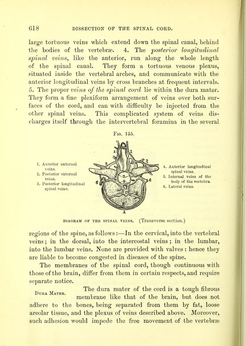 large tortuous veins which extend down the spinal canal, behind the bodies of the vertebrae. 4. The posterior longitudinal spinal veins, like the anterior, run along the whole length of the spinal canal. They form a tortuous venous plexus, situated inside the vertebral arches, and communicate with the anterior longitudinal veins by cross branches at frequent intervals. 5. The proper veins of the spinal cord lie within the dura mater. They form a fine plexiform arrangement of veins over both sur- faces of the cord, and can with difficulty be injected from the other spinal veins. This complicated system of veins dis- charges itself through the intervertebral foramina in the several Fig. 155. 1. Anterior external veins. 2. Posterior external veins. 3. Posterior longitudinal spinal veins. 4. Anterior longitudinal spinal veins. 5. Internal veins of the body of the vertebra. 6. Lateral veins. ± diagram of the spinal veins. (Transverse section.) regions of the spine, as follows :—In the cervical, into the vertebral veins; in the dorsal, into the intercostal veins ; in the lumbar, into the lumbar veins. None are provided with valves : hence they are liable to become congested in diseases of the spine. The membranes of the spinal cord, though continuous with those of the brain, differ from them in certain respects, and require separate notice. D M The dura mater of the cord is a tough fibrous membrane like that of the brain, but does not adhere to the bones, being separated from them by fat, loose areolar tissue, and the plexus of veins described above. Moreover, such adhesion would impede the free movement of the vertebrae
