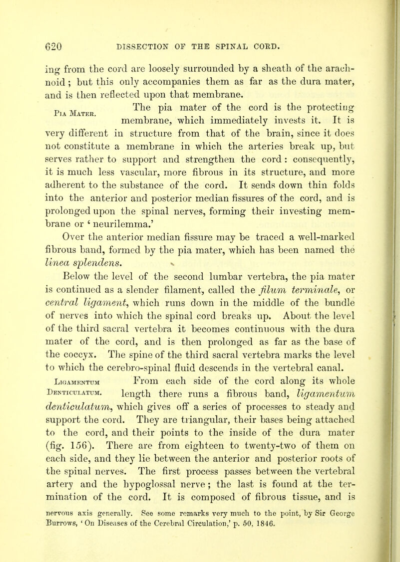 ing from the cord are loosely surrounded by a sheath of the arach- noid ; but this only accompanies them as far as the dura mater, and is then reflected upon that membrane. Mater ^a ma^er °^ ^ne cor(^ *S ^De Pr°tectirjg membrane, which immediately invests it. It is very different in structure from that of the brain, since it does not constitute a membrane in which the arteries break up, but serves rather to support and strengthen the cord : consequently, it is much less vascular, more fibrous in its structure, and more adherent to the substance of the cord. It sends down thin folds into the anterior and posterior median fissures of the cord, and is prolonged upon the spinal nerves, forming their investing mem- brane or 4 neurilemma.' Over the anterior median fissure may be traced a well-marked fibrous band, formed by the pia mater, which has been named the linea splendens. *> Below the level of the second lumbar vertebra, the pia mater is continued as a slender filament, called the filum terminate, or central ligament, which runs down in the middle of the bundle of nerves into which the spinal cord breaks up. About the level of the third sacral vertebra it becomes continuous with the dura mater of the cord, and is then prolonged as far as the base of the coccyx. The spine of the third sacral vertebra marks the level to which the cerebro-spinal fluid descends in the vertebral canal. Ligamentum From each side of the cord along its whole Denticulatum. length there runs a fibrous band, ligamentum denticulatum, which gives off a series of processes to steady and support the cord. They are triangular, their bases being attached to the cord, and their points to the inside of the dura mater (fig. 156). There are from eighteen to twenty-two of them on each side, and they lie between the anterior and posterior roots of the spinal nerves. The first process passes between the vertebral artery and the hypoglossal nerve; the last is found at the ter- mination of the cord. It is composed of fibrous tissue, and is nervous axis generally. See some remarks very much to the point, by Sir George Burrows, ' On Diseases of the Cerebral Circulation,' p. 50, 1846.
