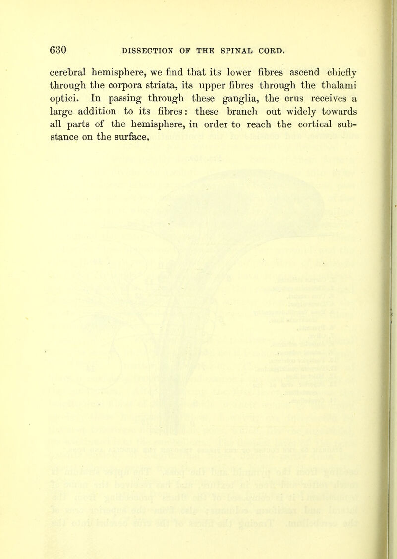 cerebral hemisphere, we find that its lower fibres ascend chiefly through the corpora striata, its upper fibres through the thalami optici. In passing through these ganglia, the crus receives a large addition to its fibres: these branch out widely towards all parts of the hemisphere, in order to reach the cortical sub- stance on the surface.