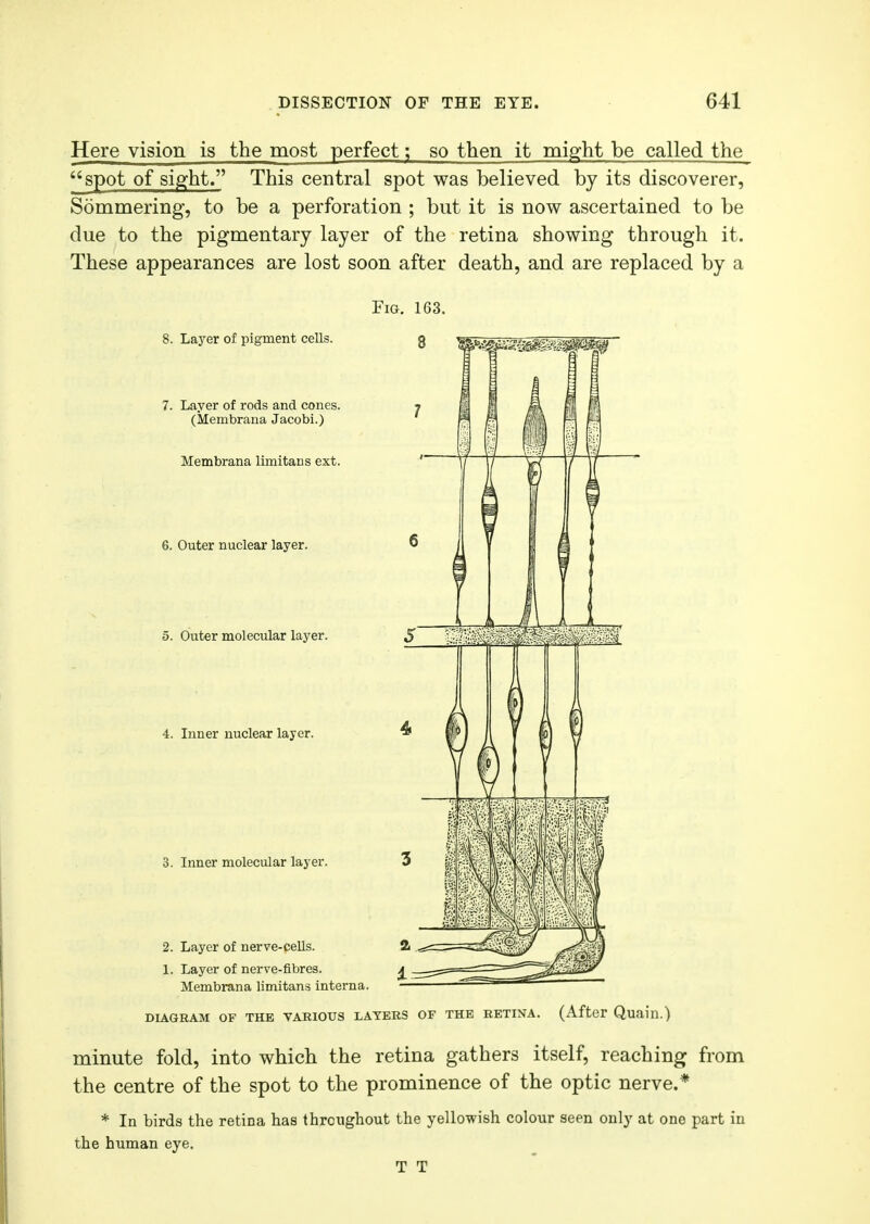 Here vision is the most perfect; so then it might be called the spot of sight. This central spot was believed by its discoverer, Sommering, to be a perforation ; but it is now ascertained to be due to the pigmentary layer of the retina showing through it. These appearances are lost soon after death, and are replaced by a Fig. 163. 8. Layer of pigment cells. 7. Layer of rods and cones (Membrana Jacobi.) Membrana limitaus ext 6. Outer nuclear layer. 5. Outer molecular layer. 4. Inner nuclear layer. 2. Layer of nerve-cells. 1. Layer of nerve-fibres. Membrana limitans interna. DIAGRAM OF THE VARIOUS LAYERS OF THE RETINA. (After Quain.) minute fold, into which the retina gathers itself, reaching from the centre of the spot to the prominence of the optic nerve.* * In birds the retina has throughout the yellowish colour seen only at one part in the human eye. T T