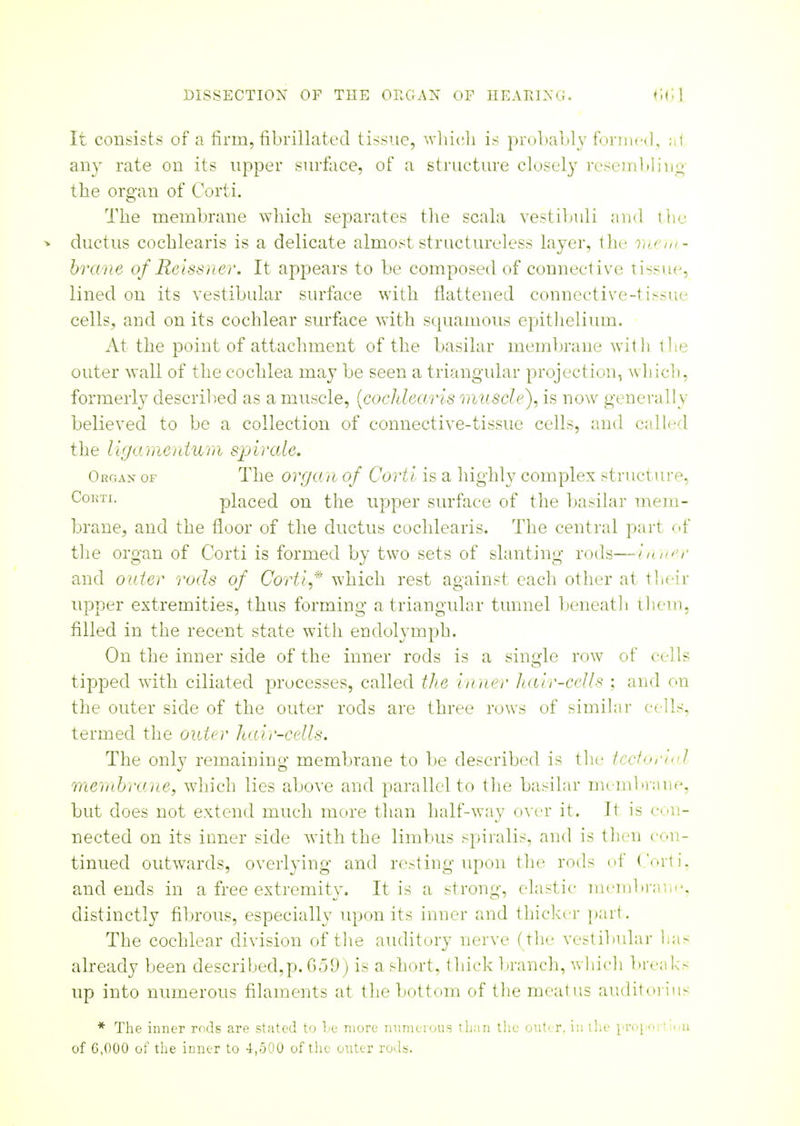 It consists of a firm, fibrillated tissue, which is probably formed, ni any rate on its upper surface, of a structure closely resembling the organ of Corti. The membrane which separates the scala vestibuli and the * ductus cochlearis is a delicate almost structureless layer, the mt m- brane of Reissner. It appears to be composed of connective tissue, lined on its vestibular surface with flattened connective-tissiu cells, and on its cochlear surface with squamous epithelium. At the point of attachment of the basilar membrane with the outer wall of the cochlea may be seen a triangular projection, which, formerly described as a muscle, (cochlearis muscle), is now generally believed to be a collection of connective-tissue cells, and called the ligamentum spirale. Organ of The organ of Corti is a highly complex structure, Cohti. placed on the upper surface of the basilar mem- brane, and the floor of the ductus cochlearis. The central part of the organ of Corti is formed by two sets of slanting rods—inner and outer rods of Corti* which rest against each other at their upper extremities, thus forming a triangular tunnel beneath them, filled in the recent state with endolymph. On the inner side of the inner rods is a single row of cells tipped with ciliated processes, called the inner hair-cells ; and on the outer side of the outer rods are three rows of similar cells, termed the outer hair-cells. The only remaining membrane to be described is the tectorial membrane, which lies above and parallel to the basilar membrane, but does not extend much more than half-way over it. Il is con- nected on its inner side with the limbus spiralis, and is then con- tinued outwards, overlying and resting upon the rods of Corti, and ends in a free extremity. It is a strong, elastic membrane, distinctly fibrous, especially upon its inner and thicker part. The cochlear division of the auditory nerve (the vestibular lias already been described,p. 659) is a short, thick branch, which breaks up into numerous filaments at the bottom of the meatus auditurius * The inner rods are stated to be more numerous than the outer, in the pro] ortiuu of 6,000 of the inner to 4,500 of the outer rods.