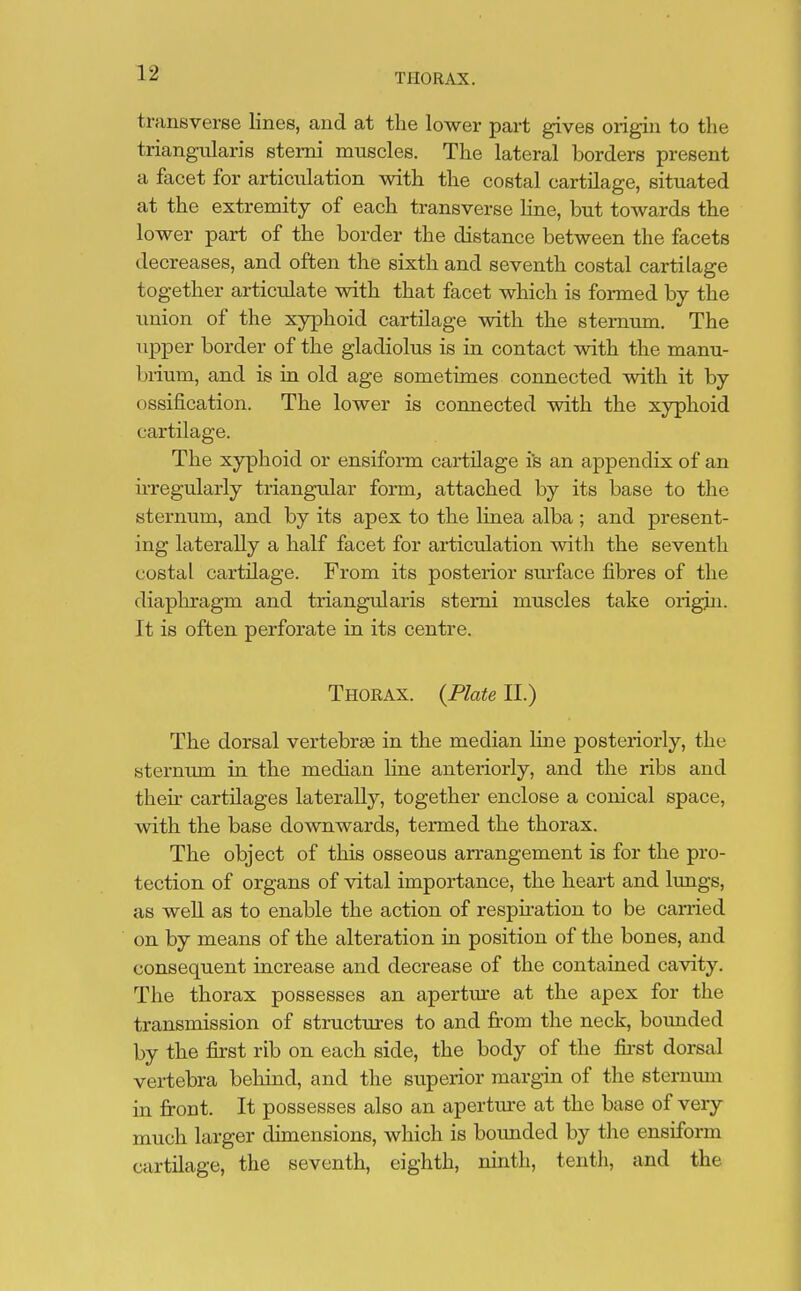 THORAX. transverse lines, and at the lower part gives origin to the triangularis sterni muscles. The lateral borders present a facet for articulation with the costal cartilage, situated at the extremity of each transverse line, but towards the lower part of the border the distance between the facets decreases, and often the sixth and seventh costal cartilage together articulate with that facet which is formed by the union of the xyphoid cartilage with the sternum. The upper border of the gladiolus is in contact with the manu- 1 >rium, and is in old age sometimes connected with it by ossification. The lower is connected with the xyphoid cartilage. The xyphoid or ensiform cartilage is an appendix of an irregularly triangular form, attached by its base to the sternum, and by its apex to the linea alba ; and present- ing laterally a half facet for articulation with the seventh costal cartilage. From its posterior surface fibres of the diaphragm and triangularis sterni muscles take origin. It is often perforate in its centre. Thorax. {Plate II.) The dorsal vertebrae in the median line posteriorly, the sternum in the median line anteriorly, and the ribs and their cartilages laterally, together enclose a conical space, with the base downwards, termed the thorax. The object of this osseous arrangement is for the pro- tection of organs of vital importance, the heart and lungs, as well as to enable the action of respiration to be earned on by means of the alteration in position of the bones, and consequent increase and decrease of the contained cavity. The thorax possesses an aperture at the apex for the transmission of structures to and from the neck, bounded by the first rib on each side, the body of the first dorsal vertebra behind, and the superior margin of the sternum in front. It possesses also an aperture at the base of very much larger dimensions, which is bounded by the ensiform cartilage, the seventh, eighth, ninth, tenth, and the