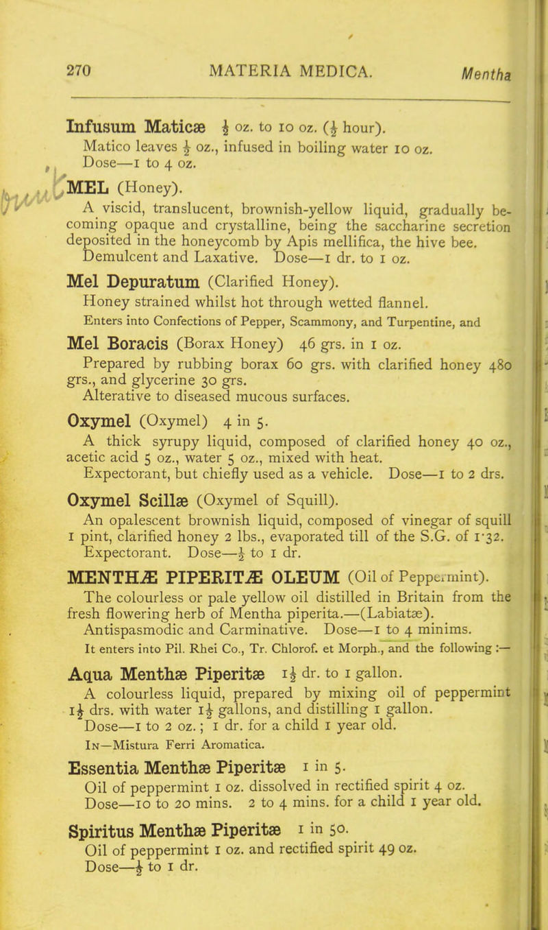 Mentha Infusum Maticae ^ oz. to lo oz. hour). Matico leaves ^ oz., infused in boiling water lo oz. Dose—I to 4 oz. MEL (Honey). A viscid, translucent, brownish-yellow liquid, gradually be- coming opaque and crystalline, being the saccharine secretion deposited in the honeycomb by Apis mellifica, the hive bee. Demulcent and Laxative. Dose—i dr. to i oz. Mel Depuratum (Clarified Honey). Honey strained whilst hot through wetted flannel. Enters into Confections of Pepper, Scammony, and Turpentine, and Mel Boracis (Borax Honey) 46 grs. in i oz. Prepared by rubbing borax 60 grs. with clarified honey 480 grs., and glycerine 30 grs. Alterative to diseased mucous surfaces. Gxymel (Oxymel) 4 in 5. A thick syrupy liquid, composed of clarified honey 40 oz., acetic acid 5 oz., water 5 oz., mixed with heat. Expectorant, but chiefly used as a vehicle. Dose—i to 2 drs. Oxymel Scillse (Oxymel of Squill). An opalescent brownish liquid, composed of vinegar of squill I pint, clarified honey 2 lbs., evaporated till of the S.G. of i'32. Expectorant. Dose—^ to i dr. MENTHJE PIPERITA OLEUM (Oil of Peppemiint). The colourless or pale yellow oil distilled in Britain from the fresh flowering herb of Mentha piperita.—(Labiatae). Antispasmodic and Carminative. Dose—i to 4 minims. It enters into Pil. Rhei Co., Tr. Chlorof. et Morph., and the following :— Aqua Menthse Piperitse 15 dr. to i gallon. A colourless liquid, prepared by mixing oil of peppermint drs. with water i| gallons, and distilling I gallon. Dose—I to 2 oz.; i dr. for a child i year old. In—Mistura Ferri Aromatica. Essentia Menthae Piperitae i in 5. Oil of peppermint i oz. dissolved in rectified spirit 4 oz. Dose—10 to 20 mins. 2 to 4 mins. for a child i year old. Spiritus Menthae Piperitae i in 50- Oil of peppermint i oz. and rectified spirit 49 oz. Dose—^ to I dr.