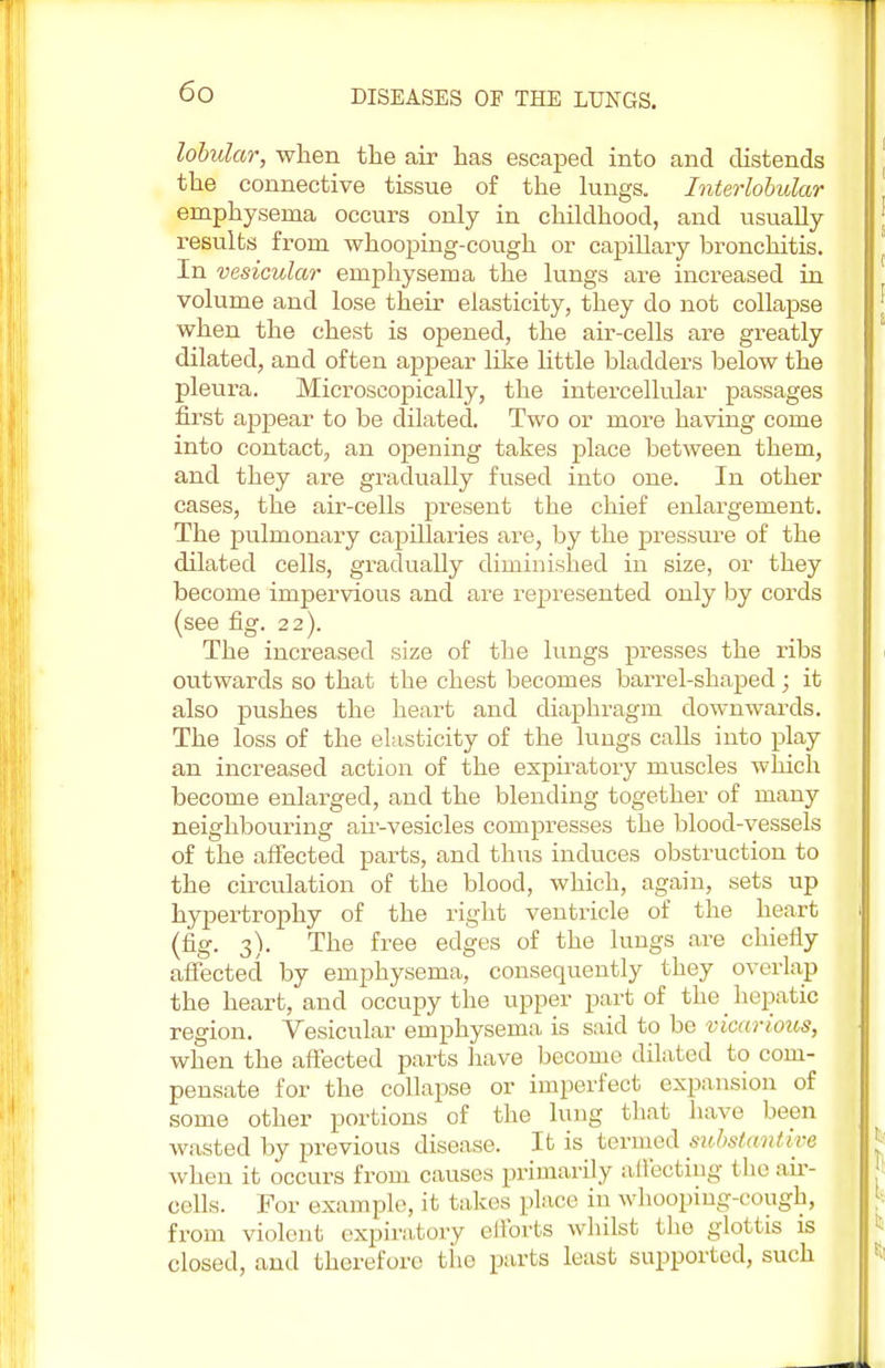 lobular, when the air has escaped into and distends the connective tissue of the lungs. Interlobular emphysema occurs only in childhood, and usually results from whooping-cough or capillary bronchitis. In vesicular emphysema the lungs are increased in volume and lose their elasticity, they do not collapse when the chest is opened, the air-cells are greatly dilated, and often appear like little bladders below the pleura. Microscopically, the intercellular passages first appear to be dilated. Two or more having come into contact, an opening takes place between them, and they are gradually fused into one. In other cases, the air-cells present the chief enlargement. The pulmonary capillaries are, by the pressure of the dilated cells, gradually diminished in size, or they become impervious and are represented only by cords (see fig. 22). The increased size of the lungs presses the ribs outwards so that the chest becomes barrel-shaped; it also pushes the heart and diaphragm downwards. The loss of the elasticity of the lungs calls into play an increased action of the expiratory muscles which become enlarged, and the blending together of many neighbouring air-vesicles compresses the blood-vessels of the affected parts, and thus induces obstruction to the circulation of the blood, which, again, sets up hypertrophy of the right ventricle of the heart I (fig. 3). The free edges of the lungs are chiefly affected by emphysema, consequently they overlap the heart, and occupy the upper part of the hepatic region. Vesicular emphysema is said to be vicarious, when the affected parts have become dilated to com- pensate for the collapse or imperfect expansion of some other portions of the lung that have been wasted by previous disease. It is termed substantive when it occurs from causes primarily affecting the air- cells. For example, it takes place in whooping-cough, from violent, expiratory efforts whilst the glottis is closed, and therefore the parts least supported, such