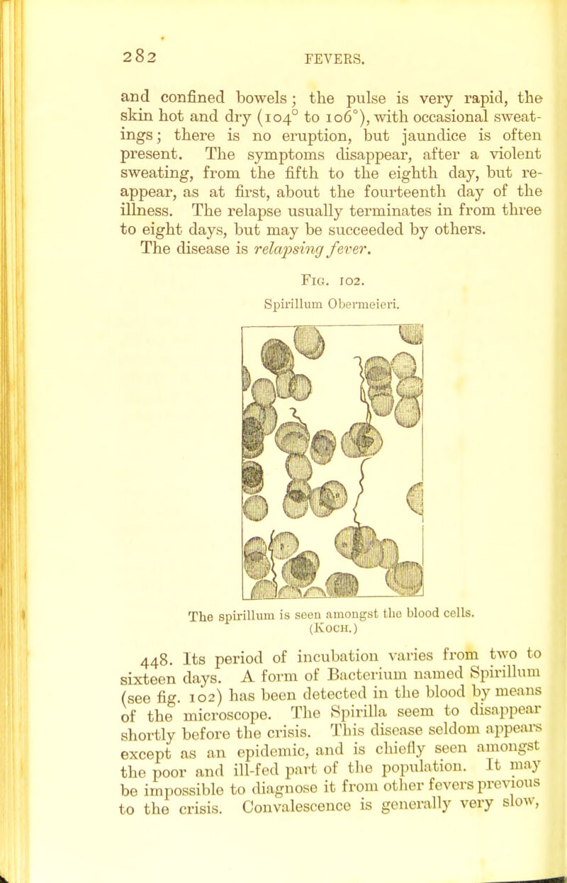 and confined bowels; the pulse is very rapid, the skin hot and dry (1040 to 106°), with occasional sweat- ings ; there is no eruption, but jaundice is often present. The symptoms disappear, after a violent sweating, from the fifth to the eighth day, but re- appear, as at first, about the fourteenth day of the illness. The relapse usually terminates in from three to eight days, but may be succeeded by others. The disease is relapsing fever. Fig. 102. Spirillum Obermeieri. The spirillum is seeu amongst the blood cells. (Koch.) 448. Its period of incubation varies from two to sixteen clays. A form of Bacterium named Spirillum (see fig. 102) has been detected in the blood by means of the microscope. The Spirilla seem to disappear shortly before the crisis. This disease seldom appears except as an epidemic, and is chiefly seen amongst the poor and ill-fed part of the population. It may be impossible to diagnose it from other fevers previous to the crisis. Convalescence is generally very slow,