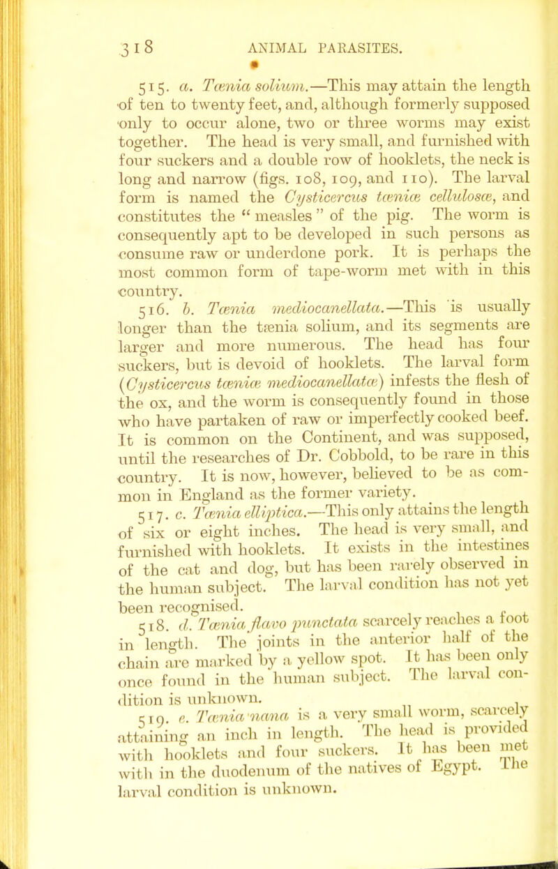 i 515. a. Taenia solium.—This may attain the length •of ten to twenty feet, and, although formerly supposed ■only to occur alone, two or three worms may exist together. The head is very small, and furnished with four suckers and a double row of hooklets, the neck is long and narrow (figs. 108, 109, and no). The larval form is named the Cysticercus tcenice cellulosce, and constitutes the  measles  of the pig. The worm is consequently apt to be developed in such persons as consume raw or underdone pork. It is perhaps the most common form of tape-worm met with in this •country. 516. b. Taenia mecliocanellata.—This is usually longer than the taenia solium, and its segments are larger and more numerous. The head has four suckers, but is devoid of hooklets. The larval form {Cysticercus taeniae mediocanellatce) infests the flesh of the ox, and the worm is consequently found in those who have partaken of raw or imperfectly cooked beef. It is common on the Continent, and was supposed, until the researches of Dr. Cobbold, to be rare in this country. It is now, however, believed to be as com- mon in England as the former variety. 517. c. Taenia elliptica.—-This only attains the length of six or eight inches. The head is very small, and furnished with hooklets. It exists in the intestines of the cat and dog, but has been rarely observed m the human subject. The larval condition has not yet been recognised. 518. d. Taenia flavo punctata scarcely reaches a toot in length. The' joints in the anterior half of the chain arc marked by a yellow spot. It has been only onCe found in the human subject. The larval con- dition is unknown. cio e. Taenia nana is a very small worm, scarcely attaining an inch in length. The head is provided with hooklets and four suckers. It has been met with in the duodenum of the natives of Egypt, the larval condition is unknown.