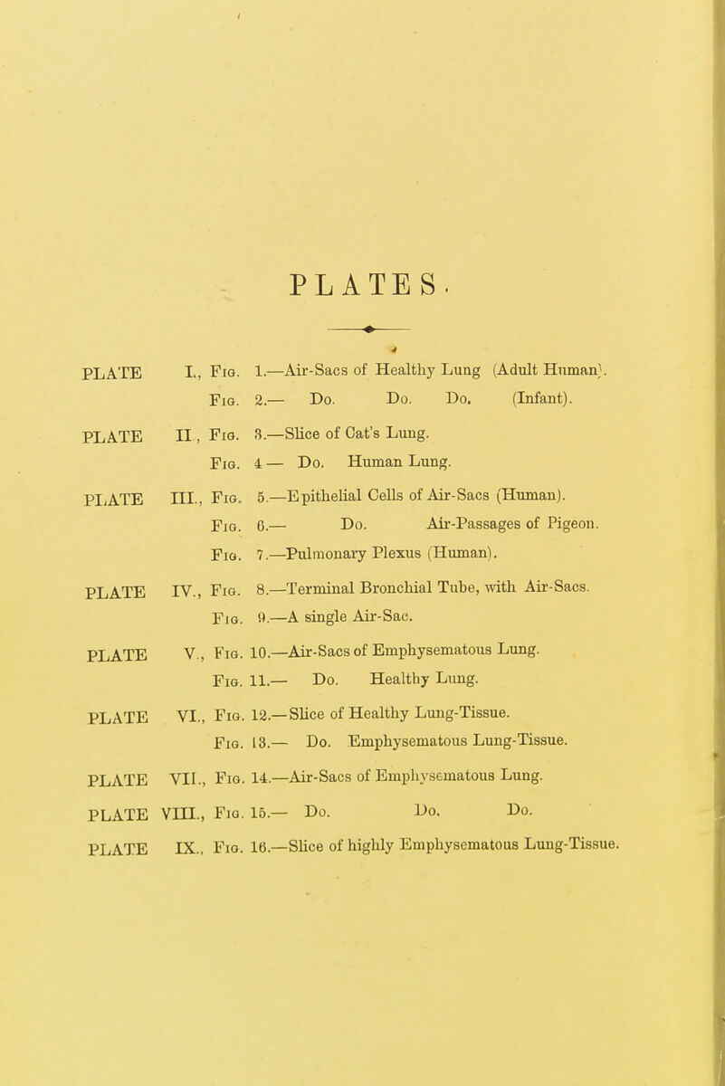 PLATE L, Fig. 1.—Air-Sacs of Healthy Lung (Adult Human). Fig. 2.— Do. Do. Do. (Infant). PLATE II , Fig. 3.—Slice of Cat's Lung. Fig. 4 — Do. Human Lung. PLATE III, Fig. 5.—Epithelial Cells of Air-Sacs (Human). Fig. 6.— Do. Air-Passages of Pigeon. Fig. 7.—Pulmonary Plexus (Human). PLATE IV., Fig. 8.—Terminal Bronchial Tube, with Air-Sacs. Fig. 9.—A single Air-Sac. PLATE V., Fig. 10.—Air-Sacs of Emphysematous Lung. Fig. 11.— Do. Healthy Lung. PLATE VI., Fig. 12.—Slice of Healthy Lung-Tissue. Fig. 13.— Do. Emphysematous Lung-Tissue. PLATE VII., Fig. 14.—Air-Sacs of Emphysematous Lung. PLATE VIII., Fig. 15.— Do. Do. Do. PLATE IX., Fig. 16.—Slice of highly Emphysematous Lung-Tissue.