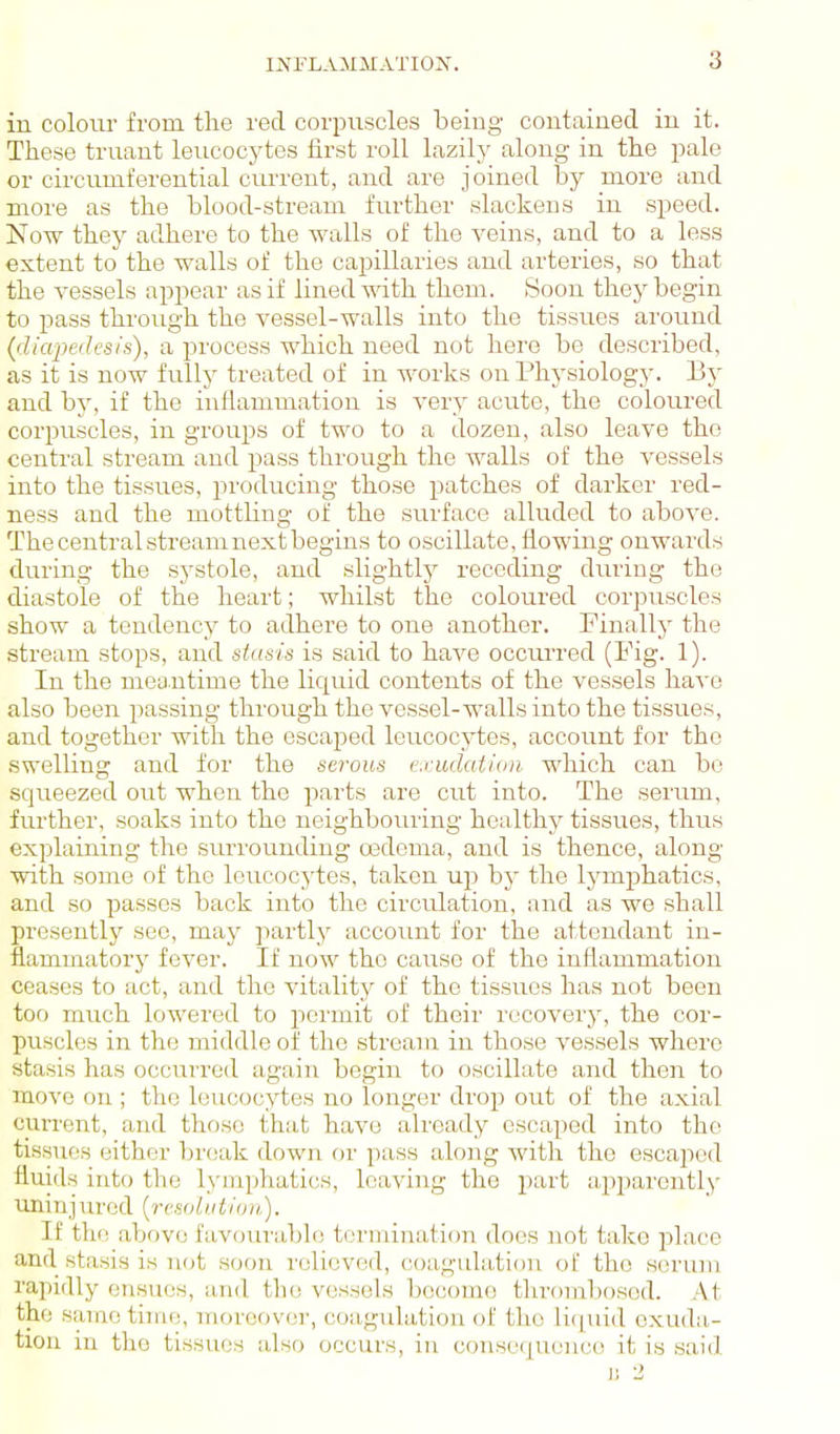 in colour from the red corpirscles being contained in it. These truant leucocytes first roll lazily along in the pale or circumferential current, and are joined by more and more as the blood-stream further slackens in speed. Now they adhere to the walls of the veins, and to a less extent to the walls of the capillaries and arteries, so that the vessels appear as if lined with them. Soon they begin to pass through the vessel-walls into the tissues around (diapedcsis), a process which need not here be described, as it is now fully treated of in works on Physiology. Ey and by, if the inflammation is very acute, the coloured corpuscles, in groups of two to a dozen, also leave the central stream and pass through the walls of the vessels into the tissues, producing those patches of darker red- ness and the mottling of the surface alluded to above. The central stream next begins to oscillate, flowing onwards during the systole, and slightly receding during the diastole of the heart; whilst the coloured corpuscles show a tendency to adhere to one another. Finally the stream stops, and stasis is said to have occui'red (Fig. 1). In the mea-utime the liquid contents of the vessels have also been passing through the vessel-walls into the tissues, and together with the escaped leucocytes, account for the swelling and for the serous exudation which can bo squeezed out when the parts are cut into. The serum, further, soaks into the neighbouring healthy tissues, thus explaining the siirrounding oedema, and is thence, along with some of the leucocytes, taken up by the lymiDhatics, and so passes back into the circulation, and as we shall presently see, may partly account for the attendant in- flammatory fever. If now the cause of the inflammation ceases to act, and the vitality of the tissues has not been too much lowered to permit of their recovery, the cor- puscles in the middle of the stream in those vessels where stasis has occui-red again begin to oscillate and then to move on ; the leucocytes no longer drop out of the axial current, and those that have already escaped into the tissues either Ijreak down or pass along with the escaped fluids into the lymphatics, leaving the part apparently uninjured [resolution). If the above favourable termination does not take place and stasis is not soon relieved, coagulation of the serum rapidly ensues, and the vessels become thrombosed. At the sarae time, moreover, coagulation of the li(|uid exuda- tion in the tissues also occurs, in conse(|uen(;e it is said JJ 2