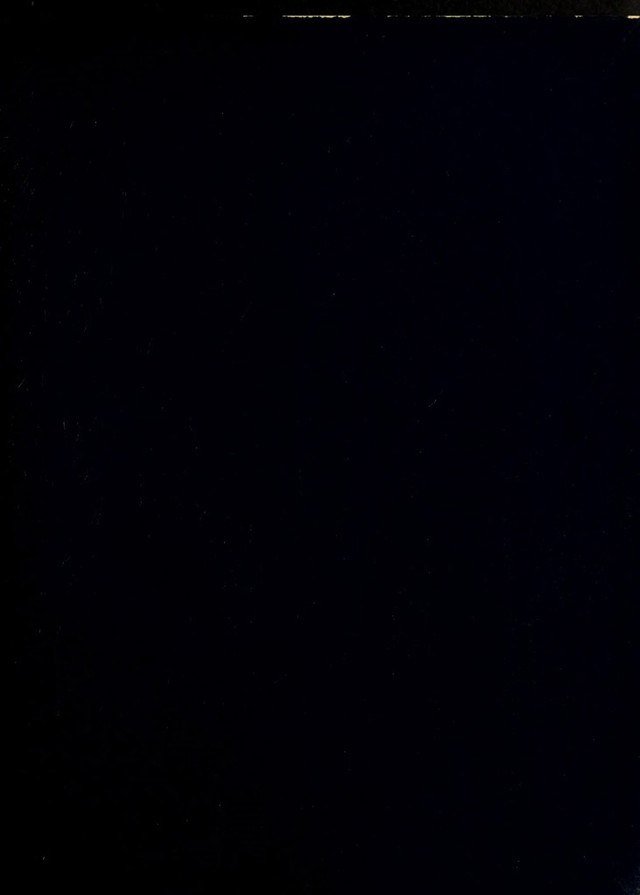 digitised image 3