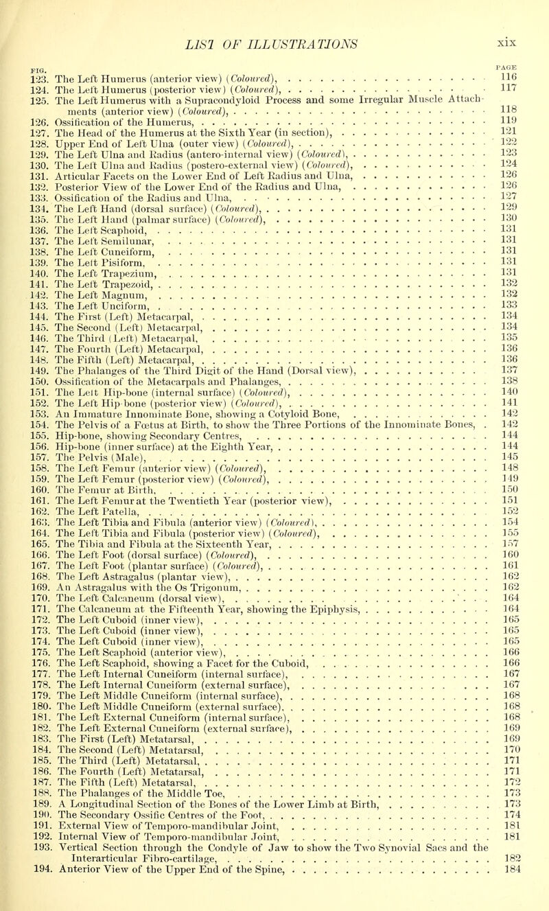 l'AGE FIG. 123. The Left Humerus (anterior view) {Coloured), • 116 124. The Left Humerus (posterior view) (Coloured), 117 125. The Left Humerus with a Supracondyloid Process and some Irregular Muscle Attach- ments (anterior view) (Coloured), 118 126. Ossification of the Humerus, 119 127. The Head of the Humerus at the Sixth Year (in section), 121 128. Upper End of Left Ulna (outer view) (Coloured), 122 129. The Left Ulna and Radius (antero-internal view) (Coloured), 123 130. The Left Ulnaand Radius (postero-external view) (Coloured), 124 131. Articular Facets on the Lower End of Left Radius and Ulna, 126 132. Posterior View of the Lower End of the Radius and Ulna, 126 133. Ossification of the Radius and Ulna, . . • 127 134. The Left Hand (dorsal surface) (Coloured), 129 135. The Left Hand (palmar surface) (Coloured), - 130 136. The Left Scaphoid, 131 137. The Left Semilunar, 131 138. The Left Cuneiform, 131 139. The Lelt Pisiform, 131 140. The Left Trapezium, 131 141. The Left Trapezoid, 132 142. The Left Magnum, 132 143. The Left Unciform, . 133 144. The First (Left) Metacarpal, 134 145. The Second (Left) Metacarpal, 134 146. The Third (Left) Metacarpal ... 135 147. The Fourth (Left) Metacarpal, 136 148. The Fifth (Left) Metacarpal, 136 149. The Phalanges of the Third Digit of the Hand (Dorsal view), 137 150. Ossification of the Metacarpals and Phalanges, 138 151. The Lelt Hip-bone (internal surface) (Coloured), 140 152. The Left Hip-bone (posterior view) (Coloured), 141 153. An Immature Iunominate Bone, showing a Cotyloid Bone, 142 154. The Pelvis of a Foetus at Birth, to show the Three Portions of the Innominate Bones, . 142 155. Hip-bone, showing Secondary Centres, 144 156. Hip-bone (inner surface) at the Eighth Year, 144 157. The Pelvis (Male), 145 158. The Left Femur (anterior view) (Coloured), 148 159. The Left Femur (posterior view) (Coloured), 149 160. The Femur at Birth 150 161. The Left Femur at the Twentieth Year (posterior view), 151 162. The Left Patella, 152 163. The Left Tibia and Fibula (anterior view) (Coloured) 154 164. The Left Tibia and Fibula (posterior view) (Coloured), 155 165. The Tibia and Fibula at the Sixteenth Year, 157 166. The Left Foot (dorsal surface) (Coloured), 160 167. The Left Foot (plantar surface) (Coloured), 161 168. The Left Astragalus (plantar view), 162 169. An Astragalus with the Os Trigonum, 162 170. The Left Calcaneum (dorsal view) ...... 164 171. The Calcaneum at the Fifteenth Year, showing the Epiphysis, 164 172. The Left Cuboid (inner view), ' 165 173. The Left Cuboid (inner view), 165 174. The Left Cuboid (inner view), 165 175. The Left Scaphoid (anterior view), 166 176. The Left Scaphoid, showing a Facet for the Cuboid, 166 177. The Left Internal Cuneiform (internal surface), 167 178. The Left Internal Cuneiform (external surface), 167 179. The Left Middle Cuneiform (internal surface), 168 180. The Left Middle Cuneiform (external surface) 168 181. The Left External Cuneiform (internal surface), 168 182. The Left External Cuneiform (external surface), 169 183. The First (Left) Metatarsal, 169 184. The Second (Left) Metatarsal, 170 185. The Third (Left) Metatarsal 171 186. The Fourth (Left) Metatarsal, 171 187. The Fifth (Left) Metatarsal, 172 188. The Phalanges of the Middle Toe, 173 189. A Longitudinal Section of the Bones of the Lower Limb at Birth, 173 190. The Secondary Ossiflc Centres of the Foot, 174 191. External View of Temporo-mandibular Joint, 181 192. Internal View of Temporo-mandibular Joint, 181 193. Vertical Section through the Condyle of Jaw to show the Two Synovial Sacs and the Interarticular Fibro-cartilage, 182 194. Anterior View of the Upper End of the Spine, 184