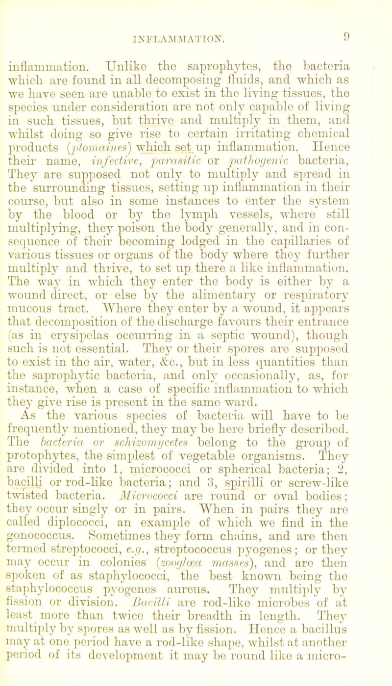 inflammation. Unlike the saprophytes, tlie bacteria •which, are found in all decomposing fluids, and which as we have seen are unable to exist in the living tissues, the species under consideration are not onl}^ capable of living in such tissues, but thrive and multiply in them, and whilst doing so give rise to certain iiritating chemical products {pfomamcs) which set up inflammation. Hence theii' name, infcdive, inirasiiic or pafJiogerric bacteria. They are supposed not only to multiply and spread in the surroimding tissues, setting up inflammation in their course, but also in some instances to enter the system by the blood or by the lymph vessels, whore still multiplying, they poison the bodj' generally, and in con- sequence of their becoming lodged in the capillaries of various tissues or organs of the body where they further multiply and thrive, to set up there a like inflammation. The way in which they enter the body is either by a wound direct, or else by the alimentary or respiratory mucous tract. Where they enter by a wound, it appeal's that decomposition of the discharge favours their enti'ance (as in erysipelas occurring in a septic wound), though such is not essential. They or their spores are supposed to exist in the air, water, &c., but in less quantities than the saprophytic bacteria, and only occasionally, as, for instance, when a case of specific inflammation to which they give rise is present in the same ward. As the various species of bacteria will have to be frequently mentioned, they may be here briefly described. The bacteria or schizomycetes belong to the group of protophytes, the simplest of vegetable organisms. They are divided into 1, micrococci or spherical bacteria; 2, bacilb or rod-like bacteria; and 3, spirilli or screw-like twisted bacteria. Micracorxi are round or oval bodies; they occur singly or in pairs. When in pairs they are called diplococci, an example of which we find in the gonococcus. Sometimes they form chains, and are then termed streptococci, e.//., streptococcus pyogenes; or they may occur in colonies (zoofj/aia massrs), and arc then spoken of as staphylococci, the best known being the staphylococcus j)yogenes am-eus. They multiply by fission or division. Bacilli are rod-like microbes of at least more than twice their breadth in length. They multiply by spores as well as by fission. Hence a bacillus may at one period have a rod-like shajie, whilst a.t anotlier period of its development it may be round like a micro-