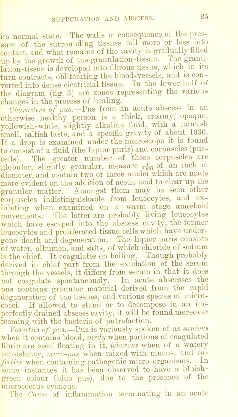 its normal state. The walls in consequence of the pres- suro of the surrounding tissues fall more or less into contact, and what remains of the cavity is gradually filled up by the growth of the granulation-tissue. The granu- lation-tissue is developed into fibrous tissue, which in its turn contracts, obliterating the blood-vessels, and is con- verted into dense cicatricial tissue. In the lower half of the diagram (fig. 3) are zones representing the various changes in the process of healing. Characters 0/pits.—Pus from an acute abscess m an otherwise healthy person is a thick, creamy, opaque, yellowish-white, slightly alkaline fluid, with a famtish smell, saltish taste, and a specific gravity of about 1030. If a drop is examined under the microscope it is found to consist of a fluid (the liquor puris) and corpuscles (pus- cells). The greater number of these corpuscles are globular, sHghtly granular, measure of an inch in diameter, and contain two or three nuclei which are made more evident on the addition of acetic acid to clear up the granular matter. Amongst them may be seen other corpuscles indistinguishable from leucocytes, and ex- hibiting when examined on a warm stage amoeboid movements. The latter are probably living leucocytes which have escaped into the abscess cavity, the former leucocytes and proliferated tissue cells which have under- gone death and degeneration. The liquor puris consists of water, albumen, and salts, of which chloride of sodium is the chief. It coagulates on boiling. Though probably derived in chief part from the exudation of the serum through the vessels, it differs from serum in that it docs not coagulate spontaneously. In acute abscesses the pus contains granular material derived from the rapid degeneration of the tissues, and various species of micro- cocci. If allowed to stand or to decompose in an im- perfectly drained abscess cavity, it will be found moreover teeming with the bacteria of putrefaction. Varieties of pus.—Pus is variously spoken of as saviuus when it contains blood, curdy when portions of coagulated fibrin are seen floating in it, ichorvus when of a watery consistency, rnuco-pus when mixed with mucus, and m- ftxtive when containing pathogenic micro-organisms. _ In some instances it has been observed to have a bluish- green colour (blue pus), due to the presence of the micrococcus cyancus. The L'auHr of inflammation terminating in an acute
