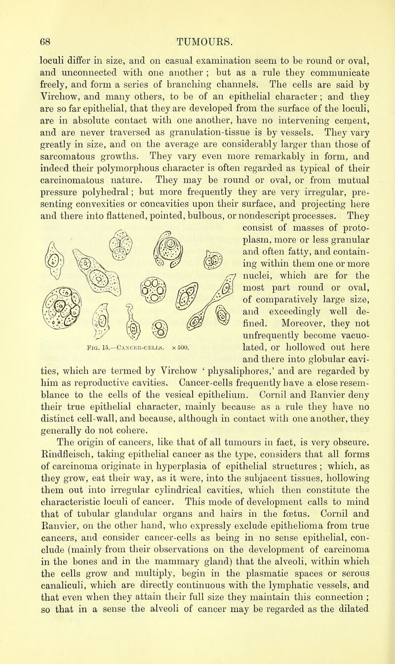 loculi differ in size, and on casual examination seem to be romid or oval, and miconnected with one another ; but as a rule they communicate freely, and form a series of branching channels. The cells are said by Virchow, and many others, to be of an epithelial character; and they are so far epithelial, that they are developed from the surface of the loculi, are in absolute contact with one another, have no intervening cement, and are never traversed as granulation-tissue is by vessels. They vary greatly in size, and on the average are considerably larger than those of sarcomatous growths. They vary even more remarkably in form, and indeed their polymorphous character is often regarded as typical of their carcinomatous nature. They may be round or oval, or from mutual pressure polyhedral; but more frequently they are very irregular, pre- senting convexities or concavities upon their surface, and projecting here and there into flattened, pointed, bulbous, or nondescript processes. They consist of masses of proto- plasm, more or less granular and often fatty, and contain- ing within them one or more nuclei, which are for the most part round or oval, of comparatively lai'ge size, and exceedingly well de- fined. Moreover, they not unfrequently become vacuo- and there into globular cavi- ties, which are termed by Virchow ' physaliphores,' and are regarded by him as reproductive cavities. Cancer-cells frequently have a close resem- blance to the cells of the vesical epithelium. Cornil and Eanvier deny their true epithelial character, mainly because as a rule they have no distinct cell-wall, and because, although in contact with one another, they generally do not cohere. The origin of cancers, like that of all tumours in fact, is very obscure. Eindfieisch, taking epithelial cancer as the type, considers that all forms of carcinoma originate in hyperplasia of epithelial structures ; which, as they grow, eat their way, as it were, into the subjacent tissues, hollowing them out into irregular cylindrical cavities, which then constitute the characteristic loculi of cancer. This mode of development calls to mind that of tubular glandular organs and hairs in the foetus. Cornil and Eanvier, on the other hand, who expressly exclude epithelioma from true cancers, and consider cancer-cells as being in no sense epithelial, con- clude (mainly from their observations on the development of carcinoma in the bones and in the mammary gland) that the alveoli, within which the cells grow and multiply, begin in the plasmatic spaces or serous canaliculi, which are directly continuous with the lymphatic vessels, and that even when they attain their full size they maintain this connection ; so that in a sense the alveoli of cancer may be regarded as the dilated