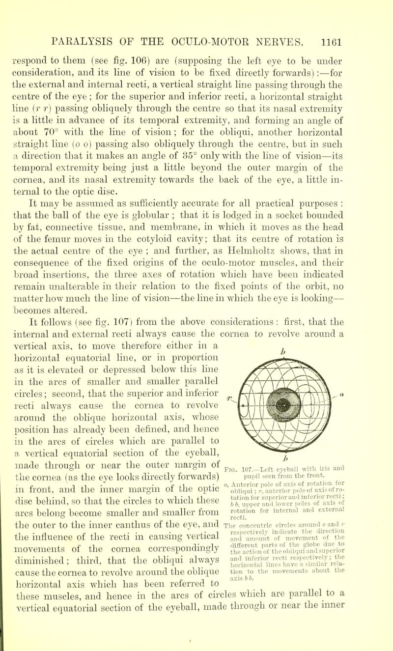 respond to them (see fig. 106) are (supposing the left eye to be under consideration, and its line of vision to be fixed directly forwards):—for the external and internal recti, a vertical straight line passing through the centre of the eye ; for the superior and inferior recti, a horizontal straight line (r r) passing obliquely through the centre so that its nasal extremity is a little in advance of its temporal extremity, and forming an angle of about 70° with the line of vision ; for the obliqui, another horizontal straight line (o o) passing also obliquely through the centre, but in such a direction that it makes an angle of 35° only with the line of vision—its temporal extremity being just a little beyond the outer margin of the cornea, and its nasal extremity towards the back of the eye, a little in- ternal to the optic disc. It may be assumed as sufficiently accurate for all practical purposes : that the ball of the eye is globular ; that it is lodged in a socket bounded by fat, connective tissue, and membrane, in which it moves as the head of the femur moves in the cotyloid cavity; that its centre of rotation is the actual centre of the eye ; and further, as Helmholtz shows, that in consequence of the fixed origins of the oculo-motor muscles, and their broad insertions, the three axes of rotation which have been indicated remain unalterable in their relation to the fixed points of the orbit, no matter how much the line of vision—the line in which the eye is looking— becomes altered. It follows (see fig. 107) from the above considerations : first, that the internal and external recti always cause the cornea to revolve around a vertical axis, to move therefore either in a horizontal equatorial line, or in proportion as it is elevated or depressed below this line in the arcs of smaller and smaller parallel circles; second, that the superior and inferior ^ recti always cause the cornea to revolve around the oblique horizontal axis, whose position has already been defined, and hence in the arcs of circles which are parallel to a vertical equatorial section of the eyeball, ^ made through or near the outer margin of ^^Y.-hett cycbaii with iiis and the cornea (as the eye looks directly forwards) pupil seen from the front. „ , n XI - • f u i--^ 0, Anterior pole of axis of rotation for 111 front, and the inner margin oi tne optic owiqui; ;•. anterior poie of axis of ro- disc behind, so that the circles to which these upi^S a^low;?^^^^ arcs belong become smaller and smaller fi-om f^^^ mtemRi and external o _ recti, the outer to the inner CantllUS of the eye, and The concentric circles around o and r ■ n n ,1 J- • • x'„„1 respectively indicate the direction the mnuence oi the recti m causing vertical ^,^,1 amount of movement of the movements of the cornea correspondingly ^l^^J^]!^l^!^s^r£^ diminished; third, that the obliqui always ToiyotatHnTsla^^rS^reia! cause the cornea to revolve around the obhque tion ^to the movements about the horizontal axis which has been referred to ' ' these muscles, and hence in the arcs of circles which are parallel^ to a vertical equatorial section of the eyeball, made through or near the inner