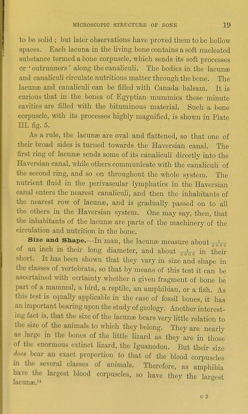 to be solid ; but later observations have jDroved them to be hollow spaces. Each lacuna in the living bone contains a soft nucleated substance termed a bone corpuscle, which sends its soft processes or ' outrunners ' along the canaliculi. The bodies in the lacun® and canaliculi cu'culate nutritious matter through the bone. The lacim^B and canaliculi can be filled with Canada balsam. It is curious that in the bones of Egyptian mummies these minute cavities are filled with the bituminous material. Such a bone corpuscle, with its processes highly magnified, is shown in Plate m. fig. 5. As a rule, the lacunae are oval and flattened, so that one of their broad sides is turned towards the Haversian canal. The first rhag of lacunae sends some of its canalicuH dii-ectly into the Haversian canal, while others communicate with the canaliculi of the second ring, and so on throughout the whole system. The nutrient fluid in the perivascular lymphatics in the Haversian canal enters the nearest canahcuh, and then the mhabitants of the neai-est row of lacuns, and is gradually passed on to all the others in the Haversian system. One may say, then, that the inhabitants of the lacunae are parts of the machmery of the circulation and nutrition in the bone. Size and Shape—In man, the lacunae measure about ^j-oVo of an inch in theii- long diameter, and about in their short. It has been shown that they vary in size and shape in the classes of vertebrata, so that by means of this test it can be ascertained with certainty whether a given fragment of bone be part of a mammal, a bh:d, a reptile, an amphibian, or a fish. As this test is equaUy apphcable in the case of fossil bones, it has an important bearing upon the study of geology. Another interest- ing fact is, that the size of the lacunae bears very little relation to the size of the animals to which they belong. They are nearly as largo in the bones of the little lizard as they are in those of the enormous extinct lizard, the Iguanodon. But their size does bear an exact proportion to that of the blood corpuscles in the several classes of animals. Therefore, as amphibia have the largest blood corpuscles, so have they the largest lacunae.'^ c 2