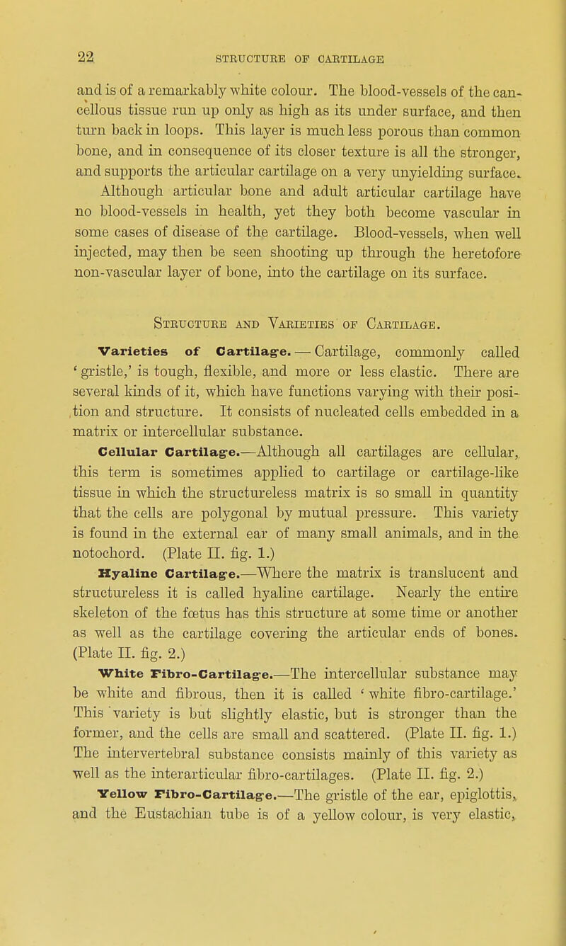 and is of a remarkably white colour. The blood-vessels of the can- cellous tissue run up only as high as its under surface, and then turn back in loops. This layer is much less porous than common bone, and in consequence of its closer texture is all the stronger, and supports the articular cartilage on a very unyielding surface. Although articular bone and adult articular cartilage have no blood-vessels in health, yet they both become vascular in some cases of disease of the cartilage. Blood-vessels, when well injected, may then be seen shooting up through the heretofore non-vascular layer of bone, into the cartilage on its surface. Structure and Varieties of Cartilage. Varieties of Cartilag-e. — Cartilage, commonly called ' gristle,' is tough, flexible, and more or less elastic. There are several kinds of it, which have functions varying with theii- posi- ,tion and structure. It consists of nucleated cells embedded in a matrix or intercellular substance. Cellular Cartilag-e.—Although all cartilages are cellular, this term is sometimes applied to cartilage or cartilage-like tissue in which the structureless matrix is so small in quantity that the cells are polygonal by mutual pressure. This variety is found in the external ear of many small animals, and in the notochord. (Plate II. fig. 1.) Hyaline Cartilag-e.—Where the matrix is translucent and structureless it is called hyaline cartilage. Nearly the entu-e skeleton of the foetus has this structure at some time or another as well as the cartilage covermg the articular ends of bones. (Plate II. fig. 2.) White Fibro-Cartilage.—The intercellular substance may be white and fibrous, then it is called ' white fibro-cartilage.' This variety is but slightly elastic, but is stronger than the former, and the cells are small and scattered. (Plate II. fig. 1.) The intervertebral substance consists mainly of this variety as well as the interarticular fibro-cartilages. (Plate II. fig. 2.) Vellow ribro-Cartilage.—The gristle of the ear, epiglottis, and the Eustachian tube is of a yeUow colour, is very elastic,
