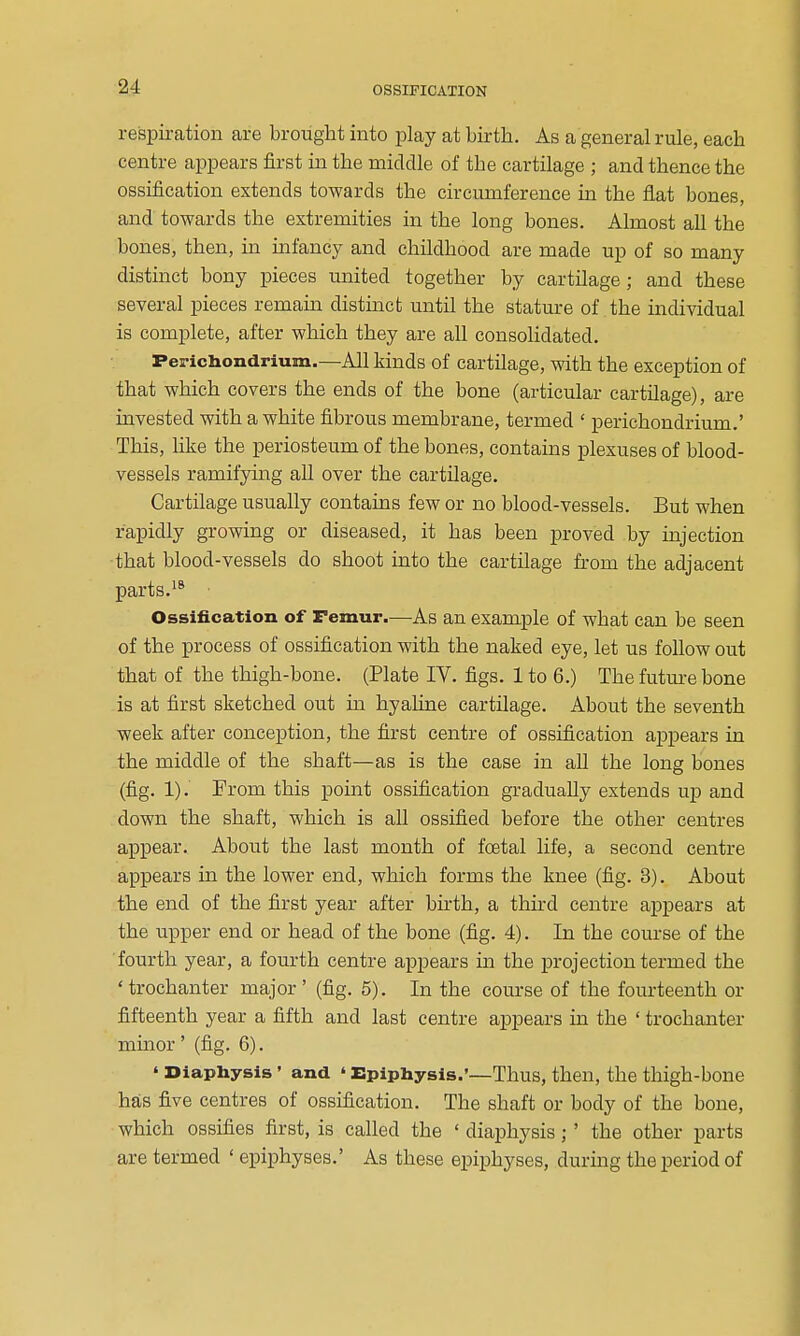 respiration are brought into play at birth. As a general rule, each centre appears first in the middle of the cartilage ; and thence the ossification extends towards the circumference lq the fiat bones, and towards the extremities in the long bones. Almost all the bones, then, in infancy and childhood are made up of so many distinct bony pieces united together by cartilage; and these several pieces remain distmct until the stature of the individual is complete, after which they are all consolidated. Perichondrium.—All kinds of cartilage, with the exception of that which covers the ends of the bone (articular cartilage), are invested with a white fibrous membrane, termed ' perichondrium.' This, like the periosteum of the bones, contains plexuses of blood- vessels ramifying all over the cartilage. Cartilage usually contains few or no blood-vessels. But when rapidly growing or diseased, it has been proved by injection that blood-vessels do shoot into the cartilage from the adjacent parts. Ossification of Femur.—As an example of what can be seen of the process of ossification with the naked eye, let us follow out that of the thigh-bone. (Plate IV. figs. Ito 6.) The futm-e bone is at first sketched out in hyaline cartilage. About the seventh week after conception, the first centre of ossification appears in the middle of the shaft—as is the case in all the long bones (fig. 1). From this point ossification gradually extends up and down the shaft, which is all ossified before the other centres appear. About the last month of foetal life, a second centre appears in the lower end, which forms the knee (fig. 3). About the end of the first year after bu'th, a third centre appears at the upper end or head of the bone (fig. 4). In the course of the ■fourth year, a fourth centre appears in the projection termed the 'trochanter major' (fig. 5). In the course of the fourteenth or fifteenth year a fifth and last centre appears in the ' trochanter minor' (fig. 6). ' Diaphysis ' and ' Epiphysis.'—Thus, then, the thigh-bone has five centres of ossification. The shaft or body of the bone, which ossifies first, is called the ' diaphysis; ' the other parts are termed ' epiphyses.' As these epiphyses, during the period of