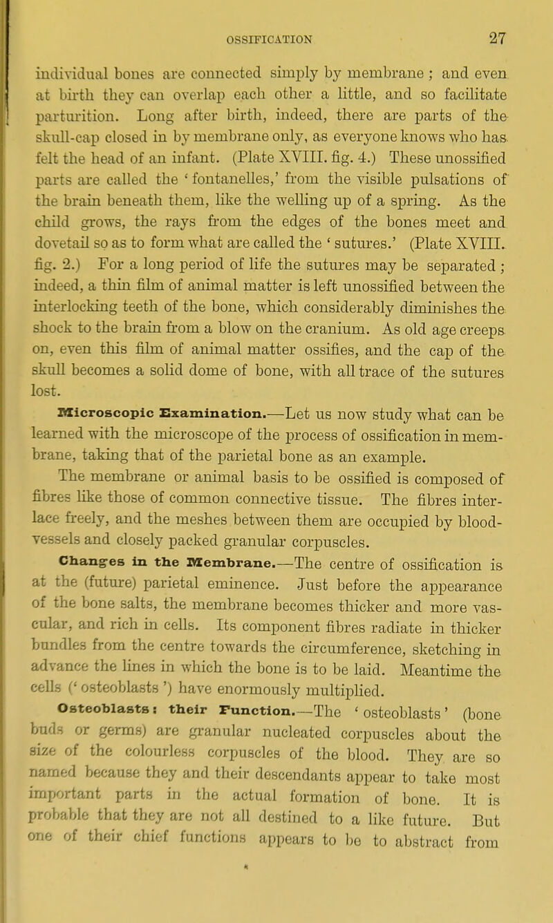 individual bones are connected simijly by membrane ; and even at birth they can overlap each other a little, and so facilitate parturition. Long after birth, indeed, there are parts of th& skull-cap closed in by membrane only, as everyone Imows who has. felt the head of an infant. (Plate XVIII. fig. 4.) These unossified parts are called the ' fontanelles,' from the visible pulsations of the braia beneath them, like the weUing up of a spring. As the child grows, the rays from the edges of the bones meet and dovetail so as to form what are called the ' sutures.' (Plate XVIII. fig. 2.) For a long period of life the sutures may be separated ; indeed, a thin film of animal matter is left unossified between the interlocking teeth of the bone, which considerably dimmishes the shock to the brain from a blow on the cranium. As old age creeps on, even this fihn of animal matter ossifies, and the cap of the skull becomes a solid dome of bone, with all trace of the sutures lost. Microscopic Examination.—Let us now study what can be learned with the microscope of the process of ossification in mem- brane, taking that of the parietal bone as an example. The membrane or animal basis to be ossified is composed of fibres like those of common connective tissue. The fibres inter- lace freely, and the meshes between them are occupied by blood- vessels and closely packed granular corpuscles. Chang-es in the Membrane.—The centre of ossification is at the (future) parietal eminence. Just before the appearance of the bone salts, the membrane becomes thicker and more vas- cular, and rich m cells. Its component fibres radiate in thicker bundles from the centre towards the circumference, sketching in advance the lines in which the bone is to be laid. Meantime the cells C osteoblasts ') have enormously multiplied. Osteoblasts: their Function The 'osteoblasts' (bone buds or germs) are gi-anular nucleated corpuscles about the size of the colourless corpuscles of the blood. They are so named because they and their descendants appear to take most important parts in the actual formation of bone. It is probable that they are not all destined to a like future. But one of their chief functions appears to be to abstract from