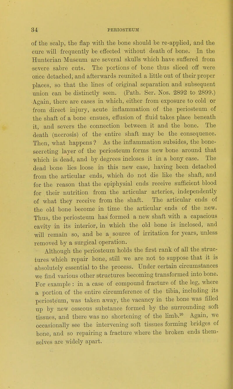 of tlie scalp, tlie flap witli the bone sliould be re-applied, and tbe cure will frequently be effected without death of bone. In the Hunterian Museum are several skulls which have suffered from •severe sabre cuts. The portions of bone thus sHced off were once detached, and afterwards reunited a little out of then- proper places, so that the lines of original separation and subsequent union can be distinctly seen. (Path. Ser. Nos. 2892 to 2899.) -Again, there are cases in which, either from exposure to cold or from direct injury, acute inflammation of the periosteum of the shaft of a bone ensues, effusion of fluid takes place beneath it, and severs the connection between it and the bone. The death (necrosis) of the entire shaft may be the consequence. Then, what happens? As the inflammation subsides, the bone- secreting layer of the periosteum forms new bone around that which is dead, and by degrees incloses it in a bony case. The dead bone Ues loose in this new case, having been detached from the articular ends, which do not die like the shaft, and for the reason that the epiphysial ends receive sufficient blood for their nutrition from the articular arteries, independently of what they receive from the shaft. The articular ends of the old bone become in time the articular ends of the new. Thus, the periosteum has' formed a new shaft with a capacious cavity in its interior, in which the old bone is inclosed, and will remam so, and be a source of irritation for years, unless removed by a surgical operation. Although the periosteum holds the first rank of all the struc- tures which repak bone, still we are not to suppose that it is ■ absolutely essential to the process. Under certam cii'cumstances we find various other structures becoming transformed into bone. For example : in a case of compound fracture of the leg, where a portion of the entire circumference of the tibia, mcludmg its periosteum, was taken away, the vacancy in the bone was fiUed up by new osseous substance formed by the surroundmg soft tissues, and there was no shortening of the limb.'^° Again, we occasionally see the intervenmg soft tissues formmg bridges of bone, and so repairing a fracture where the broken ends them- selves are widely apart.