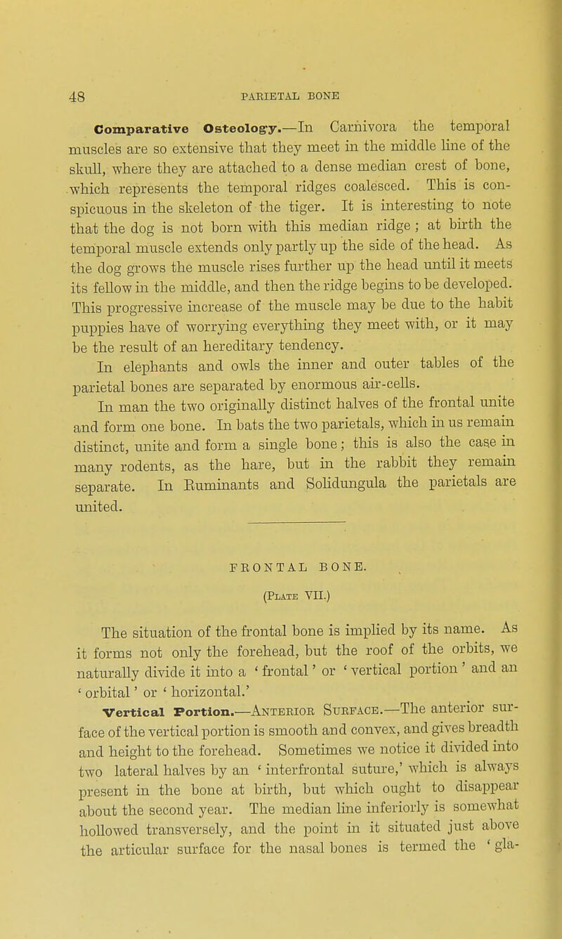 Comparative Osteolog-y.—In Carnivora the temporal muscles are so extensive that they meet m the middle line of the skull, where they are attached to a dense median crest of bone, which represents the temporal ridges coalesced. This is con- spicuous in the skeleton of the tiger. It is interesting to note that the dog is not born with this median ridge; at birth the temporal muscle extends only partly up the side of the head. As the dog grows the muscle rises further up the head until it meets its fellow in the middle, and then the ridge begms to be developed. This progressive increase of the muscle may be due to the habit puppies have of worrying everythuig they meet with, or it may be the result of an hereditary tendency. In elephants and owls the inner and outer tables of the parietal bones are separated by enormous air-cells. In man the two originally distinct halves of the frontal unite and form one bone. In bats the two parietals, which in us remain distinct, unite and form a single bone; this is also the case m many rodents, as the hare, but in the rabbit they remahi separate. In Euminants and Sohdungula the parietals are united. FEONTAL BONE. (Plate VII.) The situation of the frontal bone is implied by its name. As it forms not only the forehead, but the roof of the orbits, we naturally divide it mto a ' frontal' or ' vertical portion ' and an ' orbital' or ' horizontal.' Vertical Portion.—Anterior Surface.—The anterior sur- face of the vertical portion is smooth and convex, and gives breadth and height to the forehead. Sometimes we notice it divided mto two lateral halves by an ' interfrontal suture,' which is always present in the bone at birth, but which ought to disappear about the second year. The median line inferiorly is somewhat hollowed transversely, and the point in it situated just above the articular surface for the nasal bones is termed the ' gla-