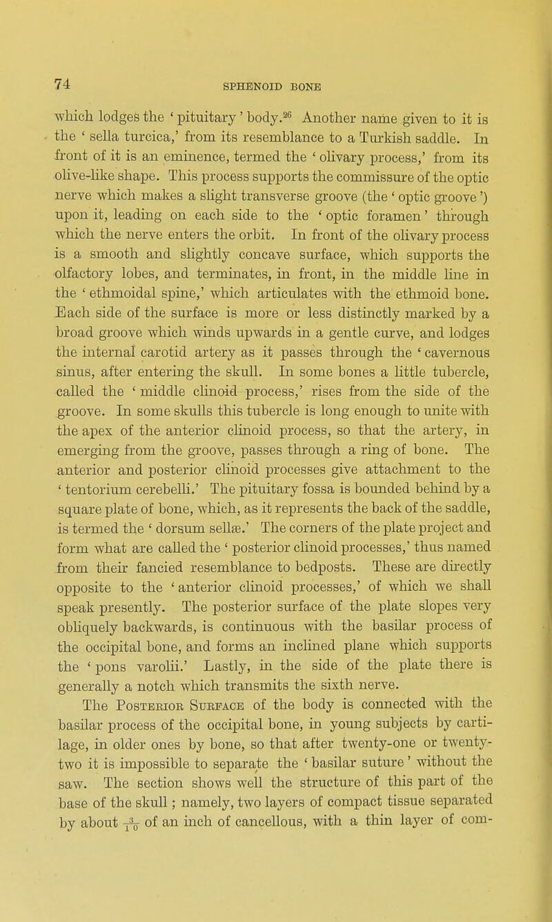 which lodges the ' pituitary ' body.^'' Another name given to it is the ' sella turcica,' from its resemblance to a Turkish saddle. In front of it is an eminence, termed the ' olivary process,' from its olive-hke shape. This process supports the commissure of the optic nerve which makes a sUght transverse groove (the ' optic groove') upon it, leaduag on each side to the ' optic foramen' through which the nerve enters the orbit. In front of the olivary process is a smooth and slightly concave surface, which supports the olfactory lobes, and terminates, in front, in the middle luie in the ' ethmoidal spine,' which articulates with the ethmoid bone. Each side of the surface is more or less distmctly marked by a broad groove which winds upwards in a gentle curve, and lodges the internal carotid artery as it passes through the ' cavernous sinus, after entering the skull. In some bones a little tubercle, called the * middle clinoid process,' rises from the side of the groove. In some skulls this tubercle is long enough to unite with the apes of the anterior clinoid process, so that the artery, in emerging from the groove, passes through a ring of bone. The anterior and posterior clinoid processes give attachment to the ' tentorium cerebelli.' The pituitary fossa is bounded behind by a square plate of bone, which, as it represents the back of the saddle, is termed the ' dorsum sellse.' The corners of the plate project and form what are caUedthe ' posterior clinoid processes,' thus named from their fancied resemblance to bedposts. These are dh-ectly opposite to the 'anterior clinoid processes,' of which we shaU speak presently. The posterior surface of the plate slopes very obhquely backwards, is continuous with the basilar process of the occipital bone, and forms an inclined plane which supports the ' pons varolii.' Lastly, in the side of the plate there is generally a notch which transmits the sixth nerve. The PosTEEioE Surface of the body is connected with the basilar process of the occipital bone, in yomag subjects by carti- lage, in older ones by bone, so that after twenty-one or twenty- two it is impossible to separate the ' basilar suture ' without the saw. The section shows well the structure of this part of the base of the skull; namely, two layers of compact tissue separated by about -f^ of an inch of cancellous, with a thin layer of com-