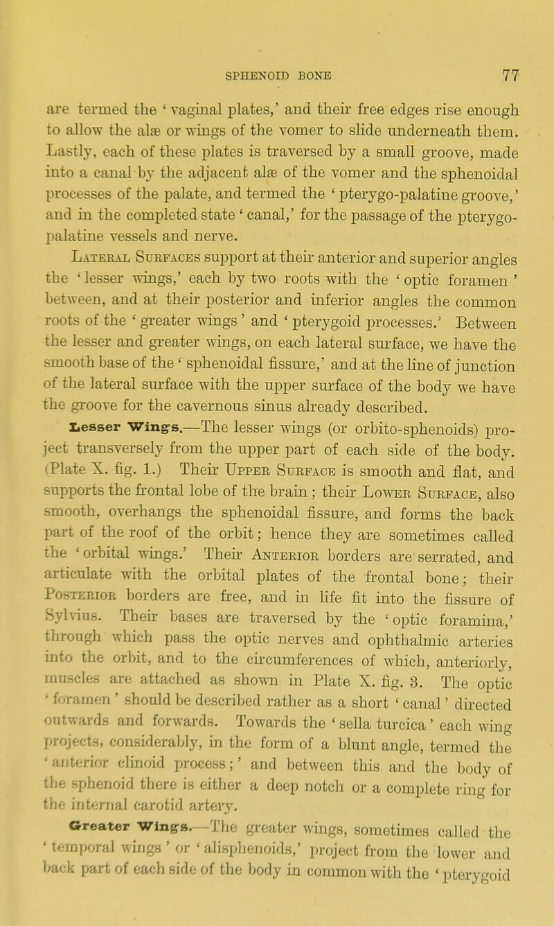 are termed the ' vaginal plates/ and their free edges rise enough to allow the alie or wings of the vomer to slide underneath them. Lastly, each of these plates is traversed by a small groove, made into a canal by the adjacent al£e of the vomer and the sphenoidal processes of the palate, and termed the ' pterygo-palatine groove,' and in the completed state ' canal,' for the passage of the pterygo- palatine vessels and nerve. Lateral Surfaces support at their anterior and superior angles the ' lesser wings,' each by two roots with the ' optic foramen ' between, and at their posterior and inferior angles the common roots of the ' greater wings ' and ' pterygoid processes.' Between the lesser and gi-eater whigs, on each lateral sm^face, we have the smooth base of the ' sphenoidal fissure,' and at the line of junction of the lateral surface with the upper surface of the body we have the groove for the cavernous sinus already described. Lesser Wing-s.—The lesser wings (or orbito-sphenoids) pro- ject transversely from the upper part of each side of the body. (Plate X. fig. 1.) Their Upper Surface is smooth and flat, and supports the frontal lobe of the brain; their Lower Surface, also smooth, overhangs the sphenoidal fissure, and forms the back part of the roof of the orbit; hence they are sometimes called the ' orbital wings.' Then- Anterior borders are serrated, and articulate with the orbital plates of the frontal bone; their Posterior borders are free, and m hfe fit into the fissure of Syh-ius. Their bases are traversed by the 'optic foramma,' through which pass the optic nerves and ophthalmic arteries into the orbit, and to the ch-cumferences of which, anteriorly, muscles are attached as shown in Plate X. fig, 3. The optic ' foramen ' should be described rather as a short ' canal' du-ected outwards and forwards. Towards the ' sella turcica' each wing projects, considerably, in the form of a blunt angle, termed the ' anterior clinoid process;' and between this and the body of the sphenoid there is either a deep notch or a complete ring for the intf^rnal carotid artery. areater wings.—The greater wings, sometimes called the ' temi,oral wings ' or ' alispheiioids,' project from the lower and back part of each side of the body in common with the ' pterygoid