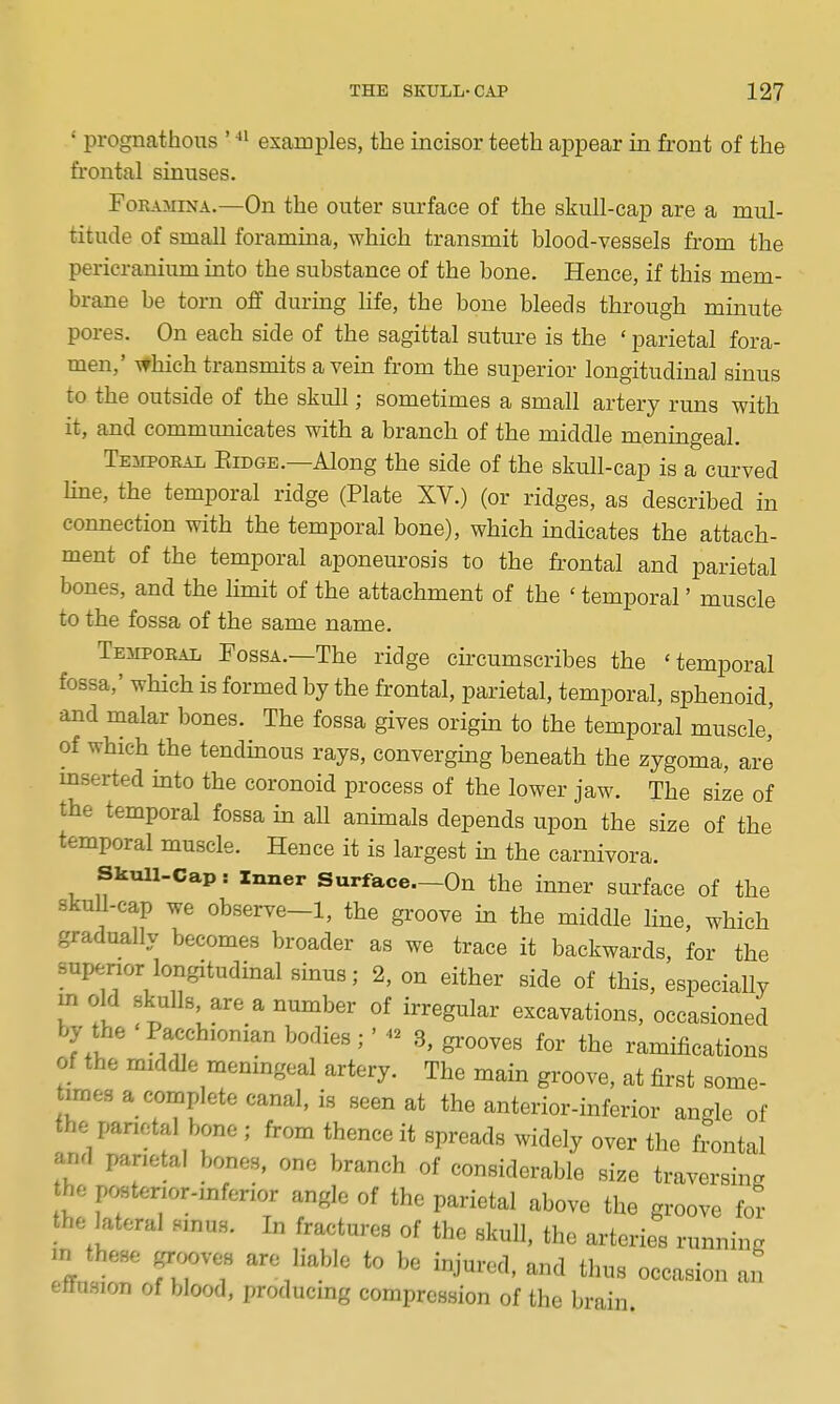 ' prognathous ' examples, the incisor teeth appear in front of the frontal sinuses. Foramina.—On the outer surface of the skull-cap are a mul- titude of small foramina, which transmit blood-vessels from the pericranium into the substance of the bone. Hence, if this mem- brane be torn off during life, the bone bleeds through minute pores. On each side of the sagittal suture is the ' parietal fora- men,' \fInch transmits a vein from the superior longitudinal sinus to the outside of the skull; sometimes a small artery runs with it, and communicates with a branch of the middle meningeal. Tempoeal Eidge.—Along the side of the skull-cap is a curved line, the temporal ridge (Plate XV.) (or ridges, as described in connection with the temporal bone), which indicates the attach- ment of the temporal aponeurosis to the frontal and parietal bones, and the limit of the attachment of the ' temporal' muscle to the fossa of the same name. Temporal Fossa.—The ridge circumscribes the 'temporal fossa,' which is formed by the frontal, parietal, temporal, sphenoid, and malar bones. The fossa gives origin to the temporal muscle,' of which the tendinous rays, converging beneath the zygoma, are mserted into the coronoid process of the lower jaw. The size of the temporal fossa in all animals depends upon the size of the temporal muscle. Hence it is largest in the carnivora. Skull-Cap! Inner Surface—On the inner surface of the skuU-cap we observe-1, the groove in the middle line, which gradually becomes broader as we trace it backwards, for the superior longitudinal sinus; 2, on either side of this, especially m old skulls, are a number of irregular excavations, occasioned by the 'Pacchionian bodies;' - 3, grooves for the ramifications of the middle meningeal artery. The main groove, at first some- times a complete canal, is seen at the anterior-inferior angle of the panotal bone ; from thence it spreads widely over the frontal and parietal bones, one branch of considerable size traversing he postenor-mfenor angle of the parietal above the groove for the lateral sinus. In fractures of the skull, the arteries running m these grooves are liable to be injured, and thus occasion an ettusion of blood, producing compression of the brain.