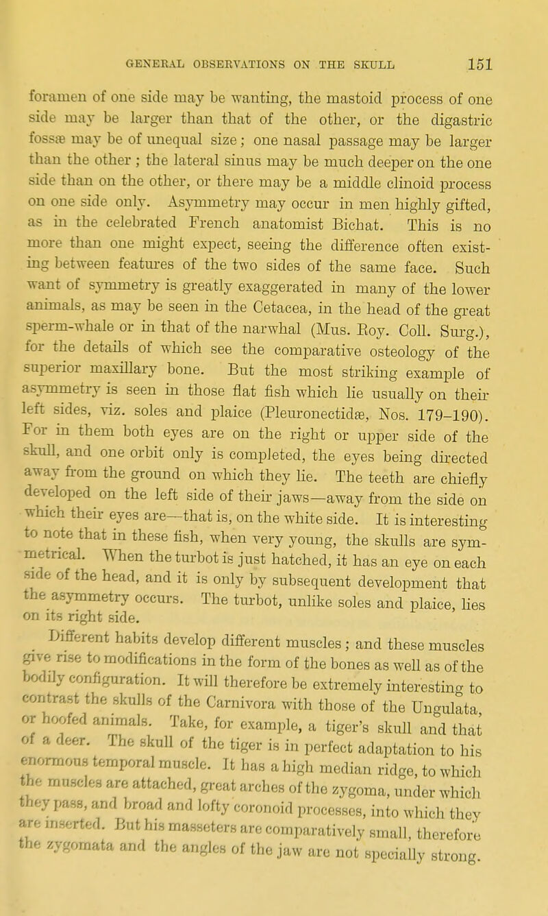 foramen of one side may be wanting, the mastoid process of one side may be larger than that of the other, or the digastric fossjB may be of unequal size; one nasal passage may be larger than the other ; the lateral sinus may be much deeper on the one side than on the other, or there may be a middle clinoid process on one side only. Asymmetry may occur in men highly gifted, as in the celebrated French anatomist Bichat. This is no more than one might expect, seemg the difference often exist- mg between featm-es of the two sides of the same face. Such want of symmetry is greatly exaggerated in many of the lower anunals, as may be seen in the Cetacea, in the head of the great sperm-whale or in that of the narwhal (Mus. Eoy. Coll. Surg.), for the details of which see the comparative osteology of the superior maxillary bone. But the most striking example of asymmetry is seen m those flat fish which He usually on their left sides, viz. soles and plaice (Pleuronectidte, Nos. 179-190). For m them both eyes are on the right or upper side of the skull, and one orbit only is completed, the eyes being directed away from the ground on which they he. The teeth are chiefly developed on the left side of then jaws—away from the side on which their eyes are—that is, on the white side. It is interesting to note that in these fish, when very young, the skulls are sym- metrical, men the turbot is just hatched, it has an eye on each side of the head, and it is only by subsequent development that the asymmetry occurs. The turbot, unlike soles and plaice, hes on its right side. Different habits develop different muscles; and these muscles give rise to modifications in the form of the bones as weh as of the bodily configuration. It will therefore be extremely interesting to contrast the skulls of the Carnivora with those of the Ungulata or hoofed animals. Take, for example, a tiger's skull and that of a deer. The skull of the tiger is in perfect adaptation to his enormous temporal muscle. It has a high median ridge, to which the muscles are attached, great arches of the zygoma, under which they pass, and broad and lofty coronoid processes, into which they are mserted. But his masseters are comparatively small, therefore the zygomata and the angles of the jaw are not specially strong