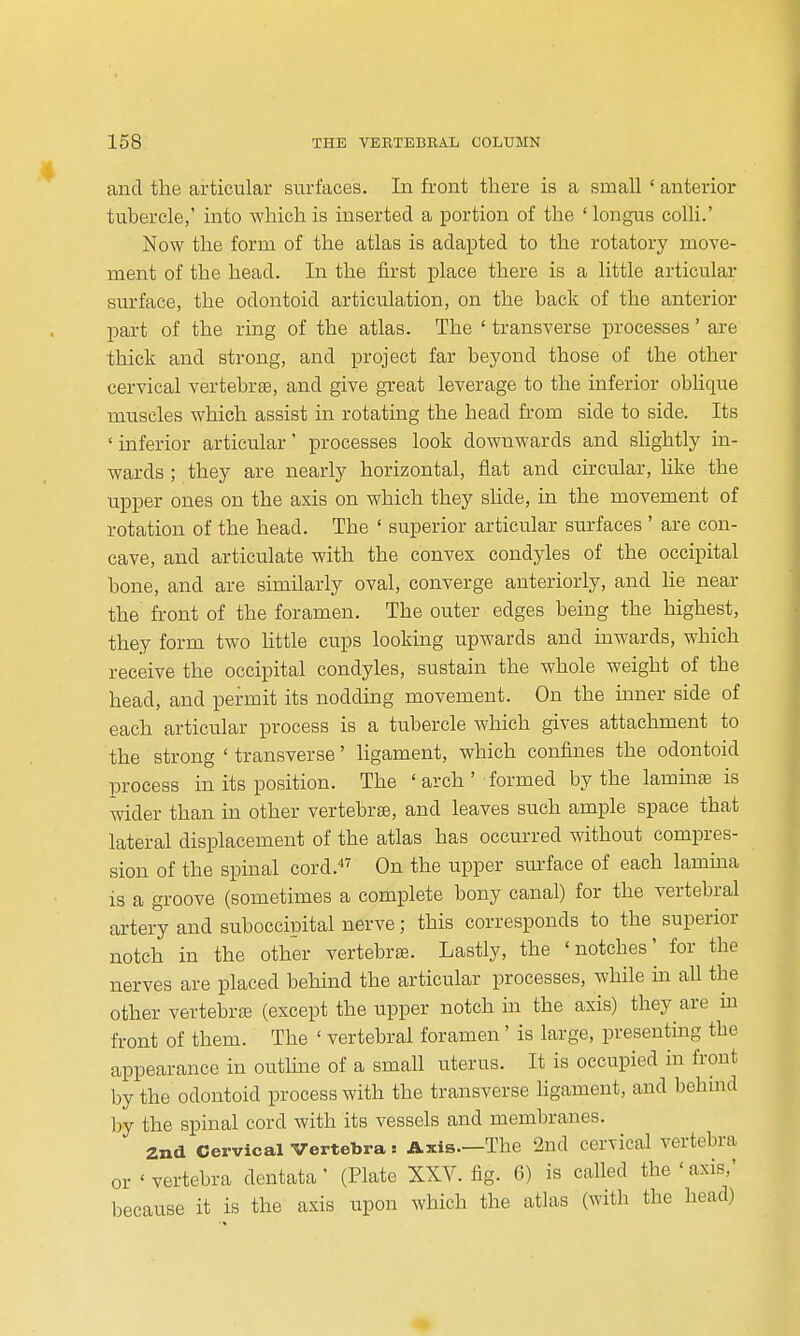 and the articular surfaces. In front there is a small ' anterior tubercle,' into which is inserted a portion of the ' longus colli.' Now the form of the atlas is adapted to the rotatory move- ment of the head. In the first place there is a little articular surface, the odontoid articulation, on the back of the anterior part of the ring of the atlas. The ' transverse processes' are thick and strong, and project far beyond those of the other cervical vertebrEE, and give great leverage to the inferior oblique muscles which assist in rotating the head from side to side. Its 'inferior articular' processes look downwards and shghtly in- wards ; they are nearly horizontal, flat and circular, like the upper ones on the axis on which they slide, in the movement of rotation of the head. The ' superior articular surfaces ' are con- cave, and articulate with the convex condyles of the occipital bone, and are similarly oval, converge anteriorly, and He near the front of the foramen. The outer edges being the highest, they form two little cups looking upwards and inwards, which receive the occipital condyles, sustain the whole weight of the head, and permit its nodding movement. On the inner side of each articular process is a tubercle which gives attachment to the strong ' transverse' ligament, which confines the odontoid process in its position. The ' arch ' formed by the lammfe is wider than in other vertebrae, and leaves such ample space that lateral displacement of the atlas has occurred without compres- sion of the spinal cord.^ On the upper sm-face of each lamina is a groove (sometimes a complete bony canal) for the vertebral artery and suboccipital nerve; this corresponds to the superior notch in the other vertebrte. Lastly, the 'notches' for the nerves are placed behind the articular processes, while m all the other vertebrae (except the upper notch in the axis) they are m front of them. The ' vertebral foramen ' is large, presenting the appearance in outlme of a small uterus. It is occupied in front by the odontoid process with the transverse ligament, and behind by the spinal cord with its vessels and membranes. 2nd Cervical Vertebra: Axis.—The 2nd cervical vertebra or 'vertebra dentata' (Plate XXV. fig. 6) is called the 'axis,' because it is the axis upon which the atlas (with the head)