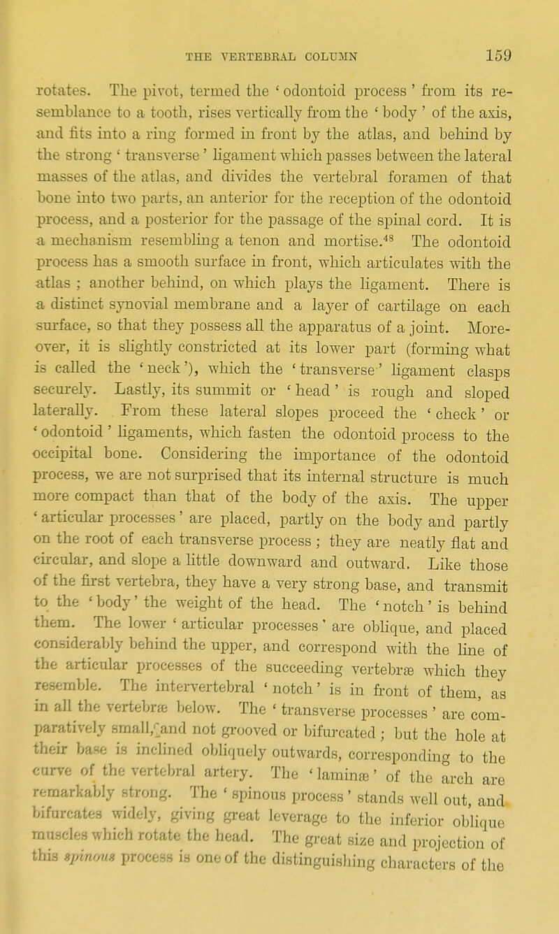 rotates. The pivot, termed the ' odontoid process ' from its re- semblance to a tooth, rises vertically from the ' body ' of the axis, and fits into a ring formed in front by the atlas, and behind by the strong ' transverse' ligament which passes between the lateral masses of the atlas, and divides the vertebral foramen of that bone into two parts, an anterior for the reception of the odontoid process, and a posterior for the passage of the spinal cord. It is a mechanism resembling a tenon and mortise.'^^ The odontoid process has a smooth sm-face in front, which articulates with the atlas ; another behind, on which plays the ligament. There is a distinct synovial membrane and a layer of cartilage on each sm-face, so that they possess all the apparatus of a joint. More- over, it is shghtly constricted at its lower part (forming what is called the ' neck'), which the ' transverse' ligament clasps securely. Lastly, its summit or ' head' is rough and sloped laterally. From these lateral slopes proceed the ' check ' or ' odontoid ' ligaments, which fasten the odontoid process to the occipital bone. Considering the importance of the odontoid process, we are not surprised that its mternal structure is much more compact than that of the body of the axis. The upper * articular processes' are placed, partly on the body and partly on the root of each transverse process ; they are neatly flat and circular, and slope a little downward and outward. Like those of the first vertebra, they have a very strong base, and transmit to the ' body' the weight of the head. The ' notch ' is behind them. The lower ' articular processes' are obhque, and placed considerably behind the upper, and correspond with the line of the articular processes of the succeedmg vertebrte which they resemble. The intervertebral ' notch' is in front of them, as in all the vertebra below. The ' transverse processes ' are com- paratively 8mall,>nd not grooved or bifurcated ; but the hole at their base is inclined obliquely outwards, corresponding to the curve of the vertebral artery. The ' laminre' of the arch are remarkably strong. The ' spinous process ' stands well out, and. bifurcates widely, giving great leverage to the inferior oblique muscles which rotate the head. The great size and projection of this npinons process is one of the distinguishing characters of the