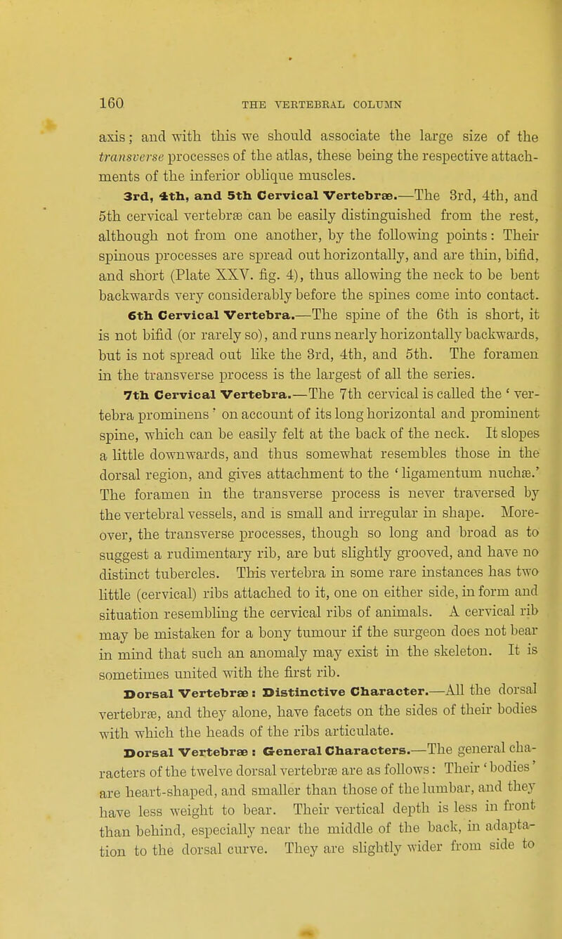 axis; and with this we should associate the large size of the transverse processes of the atlas, these being the respective attach- ments of the inferior oblique muscles. 3rcl, 4th, and 5th Cervical Vertebrae.—The 3rd, 4th, and 5th cervical vertebrte can be easily distinguished from the rest, although not from one another, by the following points: Their spmous processes are spread out horizontally, and are thin, bifid, and short (Plate XXV. fig. 4), thus allowing the neck to be bent backwards very considerably before the spines come into contact. 6th Cervical Vertebra.—The spine of the 6th is short, it is not bifid (or rarely so), and runs nearly horizontally backwards, but is not spread out hke the 3rd, 4th, and 5th. The foramen in the transverse process is the largest of all the series. 7th Cervical Vertebra.—The 7th cervical is called the ' ver- tebra prominens ' on account of its long horizontal and prominent spine, which can be easily felt at the back of the neck. It slopes a little downwards, and thus somewhat resembles those in the dorsal region, and gives attachment to the ' ligamentum nuchfe.' The foramen in the transverse process is never traversed by the vertebral vessels, and is small and irregular in shape. More- over, the transverse processes, though so long and broad as to suggest a rudimentary rib, are but slightly gi-ooved, and have no distinct tubercles. This vertebra in some rare instances has two little (cervical) ribs attached to it, one on either side, in form and situation resembling the cervical ribs of animals. A cervical rib may be mistaken for a bony tumour if the surgeon does not bear in mind that such an anomaly may exist in the skeleton. It is sometimes united with the first rib. Dorsal Vertebrae; Distinctive Character.—AU the dorsal vertebra3, and they alone, have facets on the sides of their bodies with which the heads of the ribs articulate. Dorsal Vertebrae : General Characters.—The general cha- racters of the twelve dorsal vertebrae are as follows: Their ' bodies' are heart-shaped, and smaller than tliose of the lumbar, and they have less weight to bear. Their vertical depth is less in front than behind, especially near the middle of the back, m adapta- tion to the dorsal curve. They are slightly wider from side to
