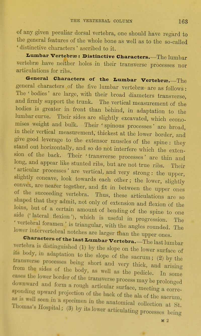 of any given peculiar dorsal vertebra, one should have regard to the general featui-es of the whole bone as well as to the so-called ' distinctive characters ' ascribed to it. Ziumbar Vertebrae: Distinctive Characters.—The lumbar vertebra have neither holes in their transverse processes nor articulations for ribs. General Characters of the I.umbar Vertebrse The general characters of the five lumbar vertebra are as follows : The ' bodies' are large, with their broad diameters transverse,* and firmly support the trunk. The vertical measurement of the bodies is gi-eater m front than behmd, in adaptation to the lumbar curve. Theh- sides are sHghtly excavated, which econo- mises weight and bulk. Their ' spinous processes' are broad, m then- vertical measm-ement, thickest at the lower border, and give good leverage to the extensor muscles of the spme : 'they stand out horizontaUy, and so do not mterfere which the exten- sion of the back. Their 'transverse processes' are thin and long, and appear Hke stunted ribs, but are not true ribs. Their 'ai-ticular processes' are vertical, and very strong: the upper, shghtly concave, look towards each other; the lower, shahtlv convex, are nearer together, and fit in between the upper ones t 1 articulations are so shaped that they admit, not only of extension and flexion of the ITVm^ 'V/^^*^^^ °f bending of the spine to one vert br lT ^^  ^^'^ ^ progression. The vertebral foramen is triangular, with the angles rounded The lower intervertebral notches are larger than the upper ones Characters of the last r.umbar Vertebra.-The last lumbar ertebra is distinguished (1) by the slope on the lower surfaTe o ts k^dy, in adaptation to the slope of the sacrum; (2) by the ransverse processes bemg short and very thick, Ind a4 n' cas^s the lower border of the transverse process may be prolon d do.n.ard and orm a rough articular surface, meeting a con-e Bponding upward projection of the back of the ala of the Irum as we 1 seen m a specimen in the anatomical collection a h' rhomas's Hospital; (3) by its lower articulating proce 1 being X 2