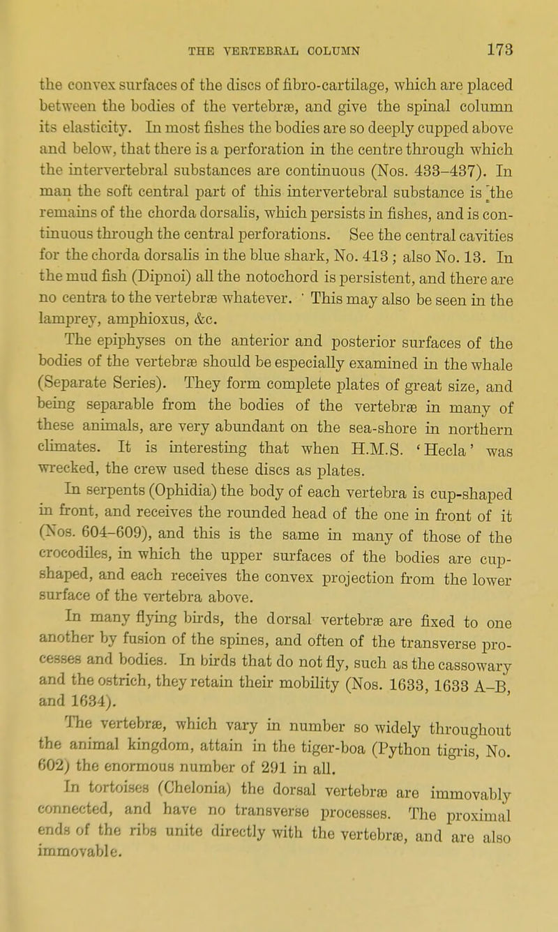 the convex surfaces of the discs of fibro-cartilage, which are placed between the bodies of the vertebrae, and give the spinal column its elasticity. In most fishes the bodies are so deeply cupped above and below, that there is a perforation in the centre through which the intervertebral substances are continuous (Nos. 483-437). In man the soft central part of this intervertebral substance is [the remains of the chorda dorsaHs, which persists in fishes, and is con- tinuous through the central perforations. See the central cavities for the chorda dorsaHs in the blue shark. No. 413; also No. 13. In the mud fish (Dipnoi) all the notochord is persistent, and there are no centra to the vertebrae whatever. ' This may also be seen in the lamprey, amphioxus, &c. The epiphyses on the anterior and posterior surfaces of the bodies of the vertebrae should be especially examined in the whale (Separate Series). They form complete plates of great size, and being separable from the bodies of the vertebrae in many of these animals, are very abundant on the sea-shore in northern climates. It is interesting that when H.M.S. 'Hecla' was wrecked, the crew used these discs as plates. In serpents (Ophidia) the body of each vertebra is cup-shaped in front, and receives the rounded head of the one in front of it (Nos. 604-609), and this is the same m many of those of the crocodiles, in which the upper surfaces of the bodies are cup- shaped, and each receives the convex projection from the lower surface of the vertebra above. In many flymg bhds, the dorsal vertebrae are fixed to one another by fusion of the spmes, and often of the transverse pro- cesses and bodies. In bn-ds that do not fly, such as the cassowary and the ostrich, they retain their mobility (Nos. 1633, 1633 A-B and 1634). The vertebra, which vary in number so widely throughout the animal kingdom, attain m the tiger-boa (Python tigris. No. 602) the enormous number of 291 in all. In tortoises (Chelonia) the dorsal vertebrse are immovably connected, and have no transverse processes. The proximal ends of the ribs unite directly with the vertebrro, and are also immovable.
