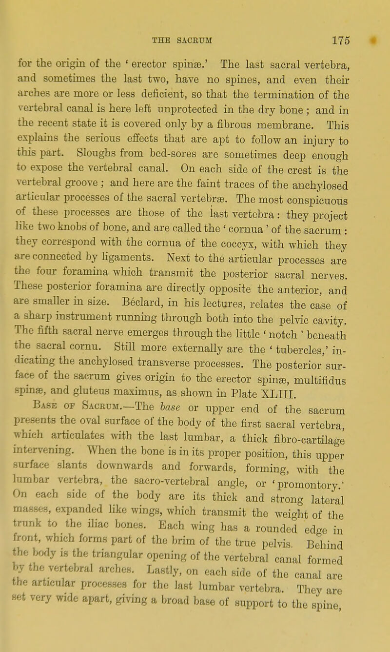 for the origin of the ' erector spinae.' The last sacral vertebra, and sometimes the last two, have no spines, and even their arches are more or less deficient, so that the termination of the vertebral canal is here left unprotected in the dry bone; and in the recent state it is covered only by a fibrous membrane. This explains the serious effects that are apt to follow an injury to this part. Sloughs from bed-sores are sometimes deep enough to expose the vertebral canal. On each side of the crest is the vertebral groove ; and here are the faint traces of the anchylosed articular processes of the sacral vertebrae. The most conspicuous of these processes are those of the last vertebra: they project like two knobs of bone, and are called the ' cornua' of the sacrum : they correspond with the cornua of the coccyx, with which they are connected by hgaments. Next to the articular processes are the four- foramuaa which transmit the posterior sacral nerves. These posterior foramina are directly opposite the anterior, and are smaUer in size. Beclard, in his lectures, relates the case of a sharp mstrument runnmg through both into the pelvic cavity. The fifth sacral nerve emerges through the little ' notch ' beneath the sacral cornu. StHl more externally are the ' tubercles,' in- dicatmg the anchylosed transverse processes. The posterior'sur- face of the sacrum gives origin to the erector spin®, multifidus spinse, and gluteus maximus, as shown in Plate XLIII. Base op Sacrum.—The base or upper end of the sacrum presents the oval surface of the body of the first sacral vertebra, which articulates with the last lumbar, a thick fibro-cartilage intervening. When the bone is in its proper position, this upper surface slants downwards and forwards, forming, with the lumbar vertebra, the sacro-vertebral angle, or 'promontory.' On each side of the body are its thick and strong lateral masses, expanded like wings, which transmit the weight of the trunk to the iliac bones. Each wing has a rounded edge in front, which forms part of the brim of the true pelvis, Behind the body is the triangular opening of the vertebral canal formed by the vertebral arches. Lastly, on each side of the canal are the articular processes for the last lumbar vertebra. They are set very wide apart, giving a broad base of support to the spine
