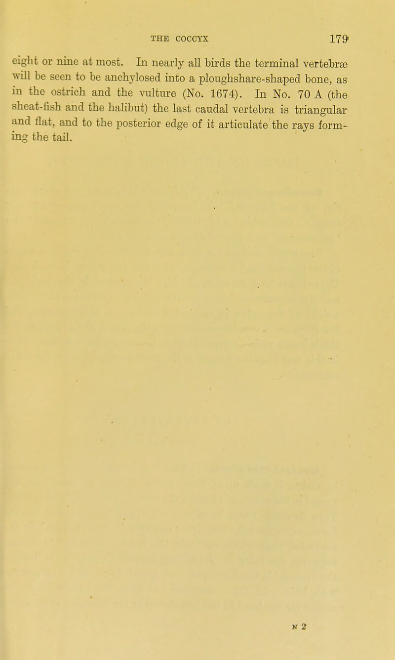 eight or nine at most. In nearly all birds the terminal vertebra will be seen to be anchylosed into a ploughshare-shaped bone, as in the ostrich and the vulture (No. 1674). In No. 70 A (the sheat-fish and the hahbut) the last caudal vertebra is triangular and flat, and to the posterior edge of it articulate the rays form- ing the tail.