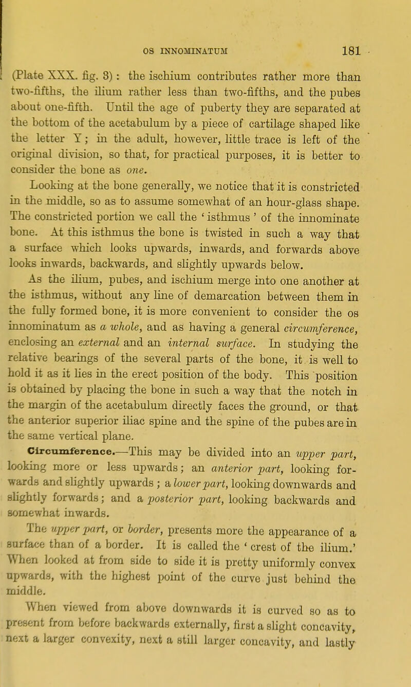 (Plate XXX. fig. 8): the ischium contributes rather more than two-fifths, the ilium rather less than two-fifths, and the pubes about one-fifth. Until the age of puberty they are separated at the bottom of the acetabulum by a piece of cartilage shaped like the letter Y; in the adult, however, little trace is left of the original dinsion, so that, for practical purposes, it is better to consider the bone as one. Looking at the bone generally, we notice that it is constricted in the middle, so as to assume somewhat of an hour-glass shape. The constricted portion we call the ' isthmus ' of the innominate bone. At this isthmus the bone is twisted in such a way that a smrface which looks upwards, inwards, and forwards above looks inwards, backwards, and slightly upwards below. As the iHum, pubes, and ischium merge into one another at the isthmus, without any line of demarcation between them in the fully formed bone, it is more convenient to consider the os innominatum as a ivhole, and as having a general circumference, enclosing an external and an internal surface. In studying the relative bearings of the several parts of the bone, it is well to hold it as it Hes in the erect position of the body. This position is obtained by placing the bone in such a way that the notch in the margin of the acetabulum directly faces the ground, or that the anterior superior ihac spine and the spine of the pubes are in the same vertical plane. Circumference.—This may be divided into an upper part, looking more or less upwards; an anterior part, looking for- wards andsUghtly upwards ; lower part, lookmg downwards and slightly forwards; and a posterior part, looking backwards and somewhat inwards. The upper part, or border, presents more the appearance of a surface than of a border. It is called the ' crest of the ilium.' When looked at from side to side it is pretty uniformly convex upwards, with the highest point of the curve just behmd the middle. When viewed from above downwards it is curved so as to present from before backwards externally, first a slight concavity, next a larger convexity, next a still larger concavity, and lastly