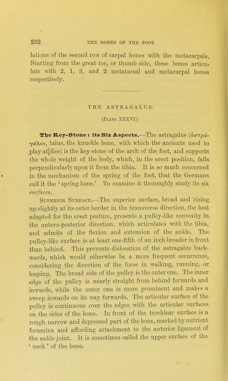 lations of the second row of carpal bones with the metacarpals. Starting from the great toe, or thumb side, these bones articu- late with 2, 1, 3, and 2 metatarsal and metacarpal bones respectively. THE ASTEAGALUS. - (Plate XXXVI.) The XLey-Stone s its Six Aspects.—The astragalus {aa-rpd- yakos, talus, the knuckle bone, with which the ancients used to play atjdice) is the key-stone of the arch of the foot, and supports the whole weight of the body, which, in the erect position, faUs perpendicularly upon it from the tibia. It is so much concerned in the mechanism of the spring of the foot, that the Germans call it the ' spring bone.' To examine it thoroughly study its six su7faGes. Stjpbeior Sueface.—The superior surface, broad and risiag up slightly at its outer border m the transverse dii-ection, the best adapted for the erect posture, presents a pulley-like convexity in the antero-posterior direction, which articulates with the tibia, and admits of the flexion and extension of the ankle. The pulley-hke surface is at least one-fifth of an inch broader in front than behind. This prevents dislocation of the astragalus back- wards, which would otherwise be a more frequent occurrence, considering the du-ection of the force in walking, running, or leaping. The broad side of the pulley is the outer one. The inner edge of the pulley is nearly straight from behind forwards and inwards, while the outer one is more prominent and makes a sweep inwards on its way forwards. The articular surface of the pulley is continuous over the edges with the articular surfaces on the sides of the bone. In front of the trochlear surface is a rough narrow and depressed part of the bone, marked by nutrient foramina and affording attachment to the anterior ligament of the ankle joint. It is sometimes called the upper surface of the ' neck ' of the bone.