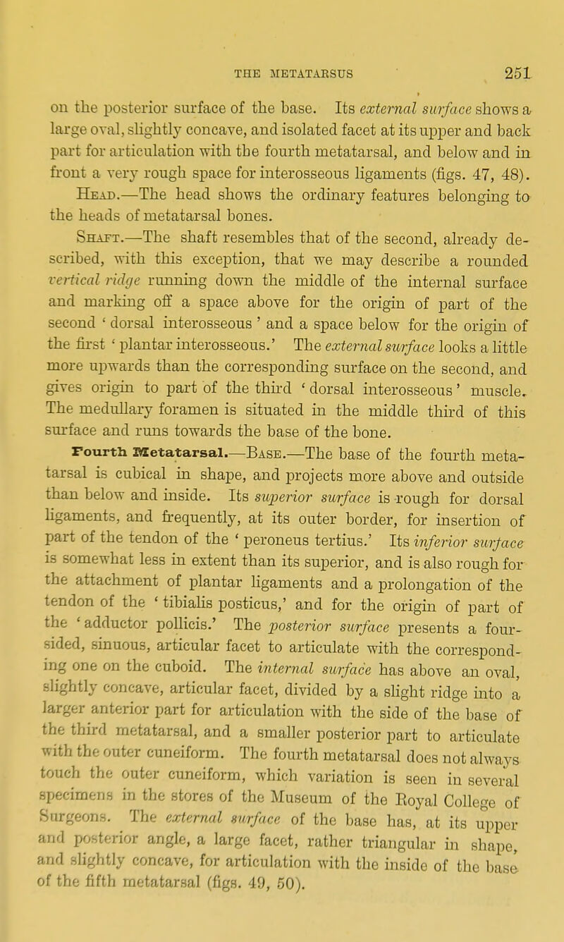 on the posterior surface of the base. Its external surface shows a large oval, slightly concave, and isolated facet at its upjjer and back part for articulation with the fourth metatarsal, and below and in front a very rough space for interosseous ligaments (figs. 47, 48). Head.—The head shows the ordinary features belonging to the heads of metatarsal bones. Shaft.—The shaft resembles that of the second, already de- scribed, with this exception, that we may describe a rounded vertical ridge running down the middle of the internal surface and marking off a space above for the origin of part of the second ' dorsal interosseous ' and a space below for the origin of the fu-st ' plantar interosseous.' The external surface looks a little more upwards than the corresponding surface on the second, and gives origin to part of the thu-d ' dorsal interosseous' muscle. The medullary foramen is situated m the middle third of this sm-face and runs towards the base of the bone. rourth Metatarsal—Base.—The base of the fourth meta- tarsal is cubical m shape, and projects more above and outside than below and inside. Its superior surface is rough for dorsal hgaments, and fi-equently, at its outer border, for msertion of part of the tendon of the ' peroneus tertius.' Its inferior sm-face is somewhat less m extent than its superior, and is also rough for the attachment of plantar hgaments and a prolongation of the tendon of the ' tibiahs posticus,' and for the origin of part of the ' adductor poUicis.' The posterior surface presents a four- sided, smuous, articular facet to articulate with the correspond- ing one on the cuboid. The internal surface has above an oval, slightly concave, articular facet, divided by a sHght ridge mto a larger anterior part for articulation with the side of the base of the third metatarsal, and a smaller posterior part to articulate with the outer cuneiform. The fourth metatarsal does not always touch the outer cuneiform, which variation is seen in several specimens in the stores of the Museum of the Eoyal College of Surgeons. The external surface of the base has, at its upper and posterior angle, a large facet, rather triangular in shape, and slightly concave, for articulation with the inside of the base of the fifth metatarsal (figs. 49, 50).